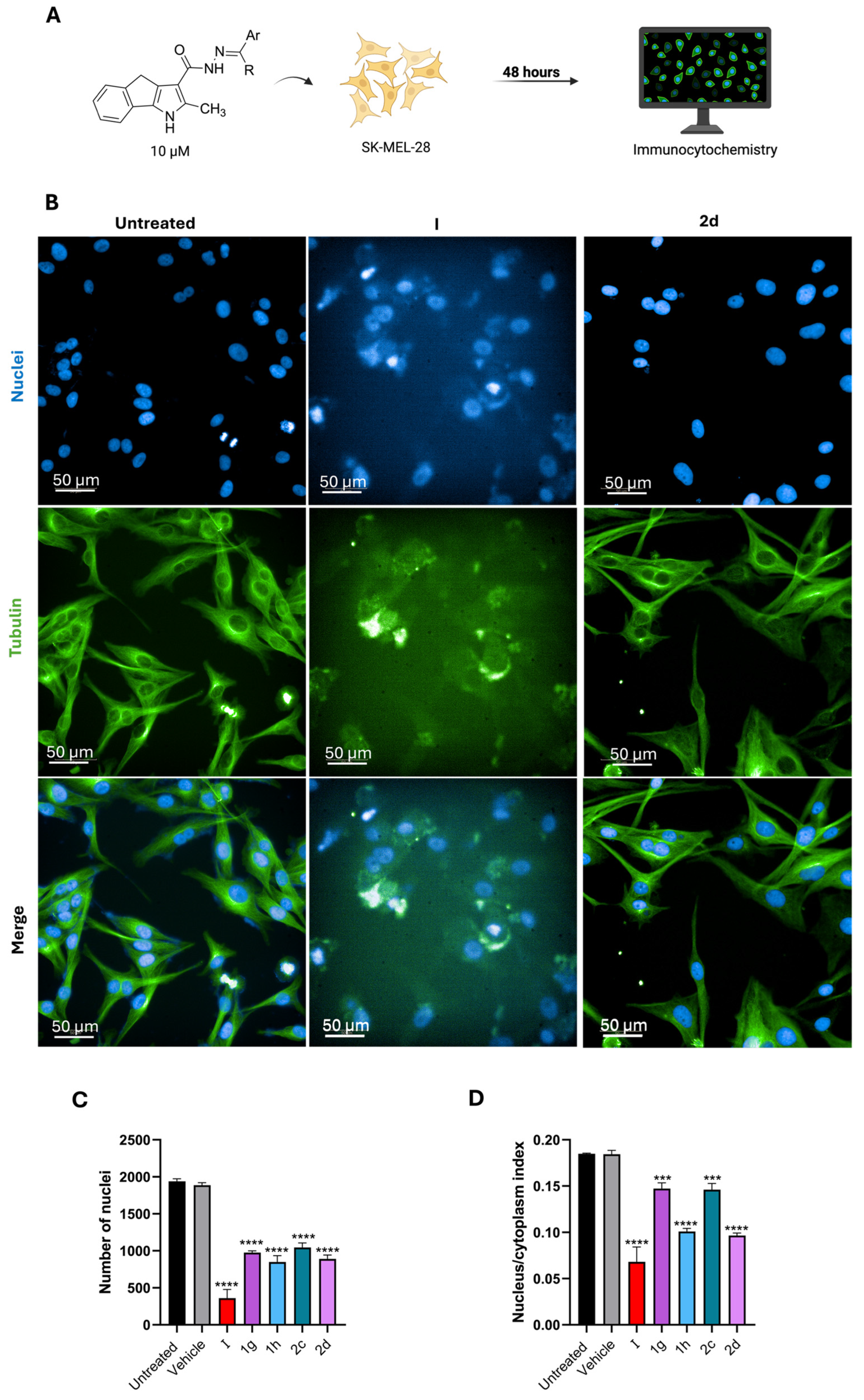 Ijms 26 09212 g004 Ijms 26 09212 g004
