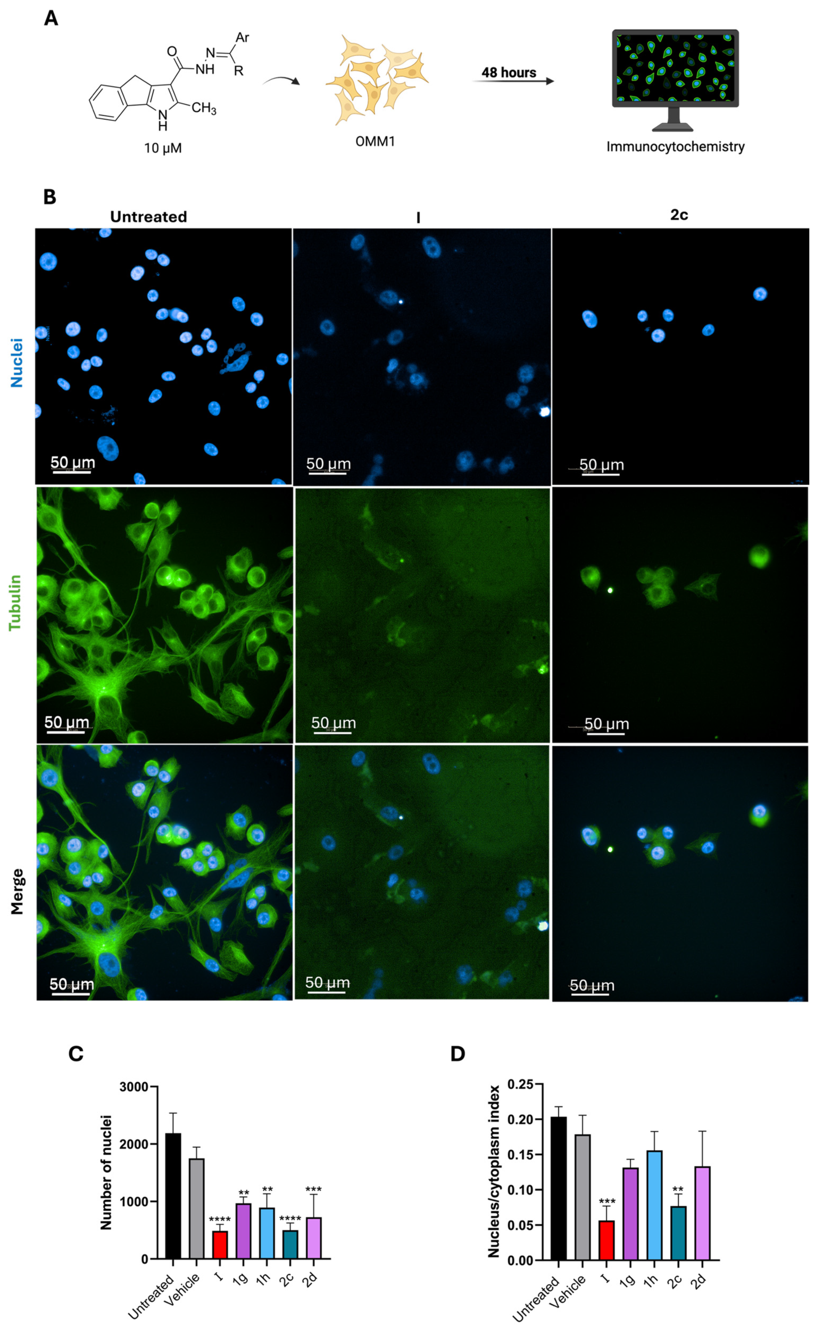 Ijms 26 09212 g005 Ijms 26 09212 g005