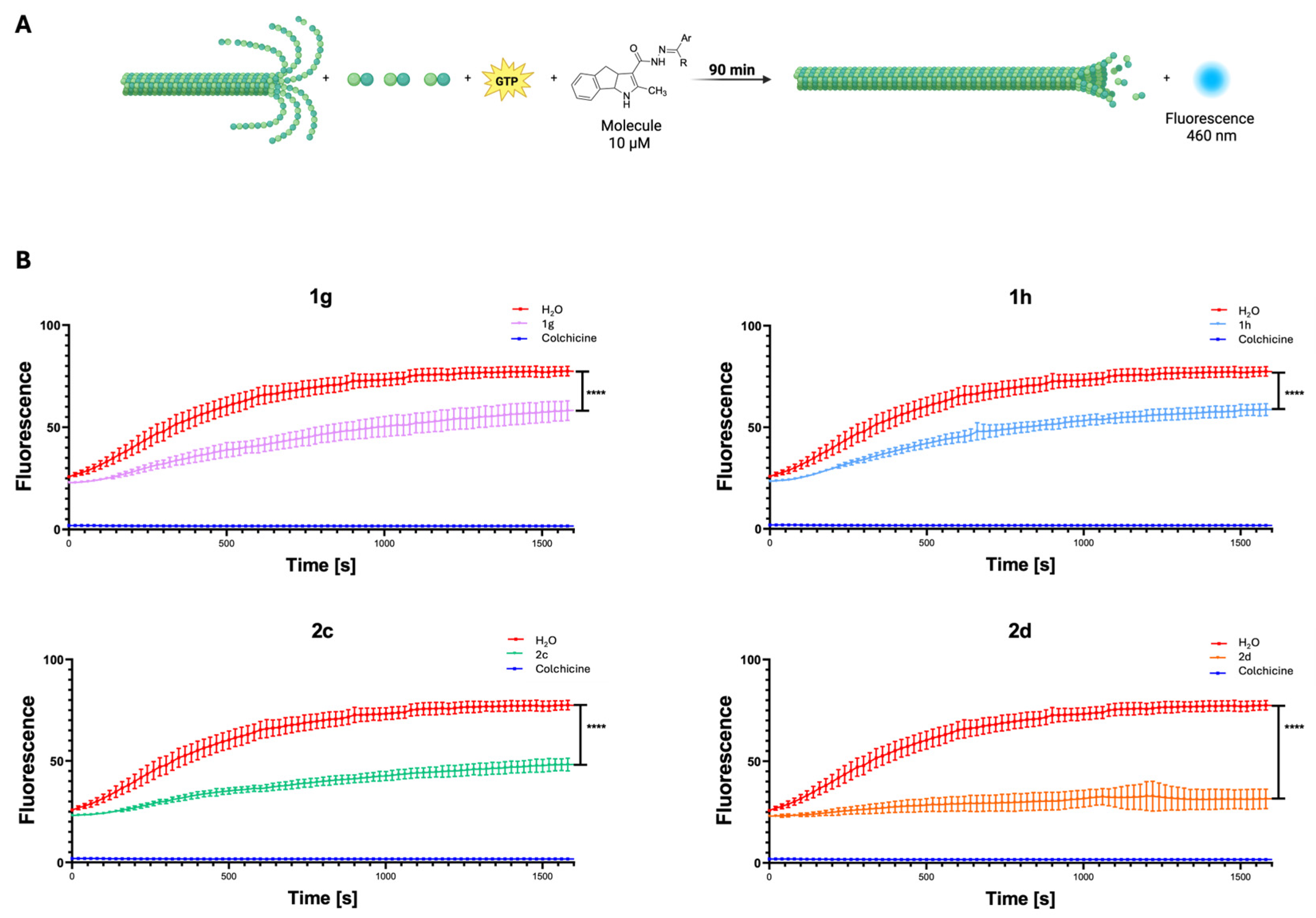 Ijms 26 09212 g006 Ijms 26 09212 g006