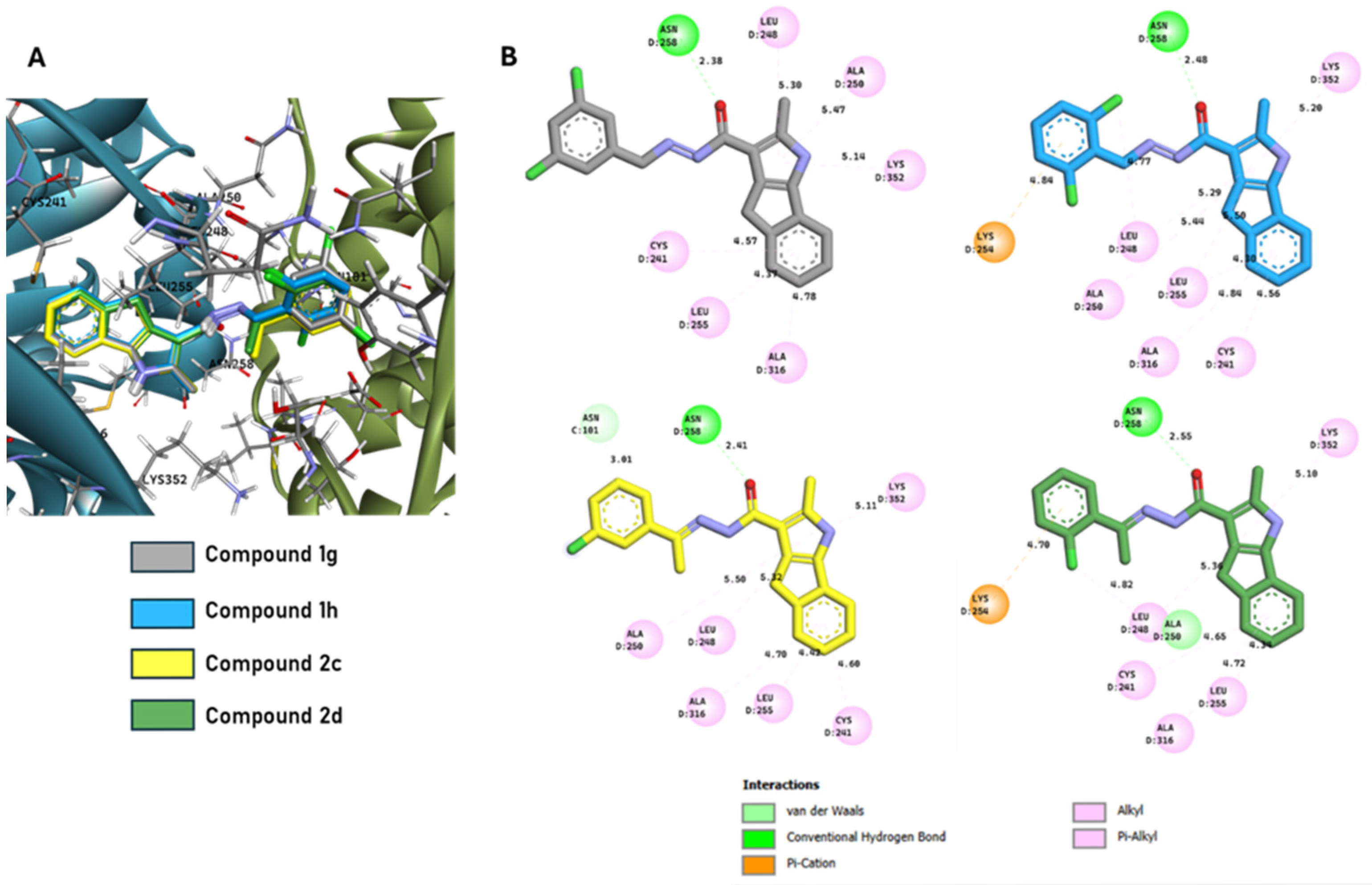 Ijms 26 09212 g009 Ijms 26 09212 g009