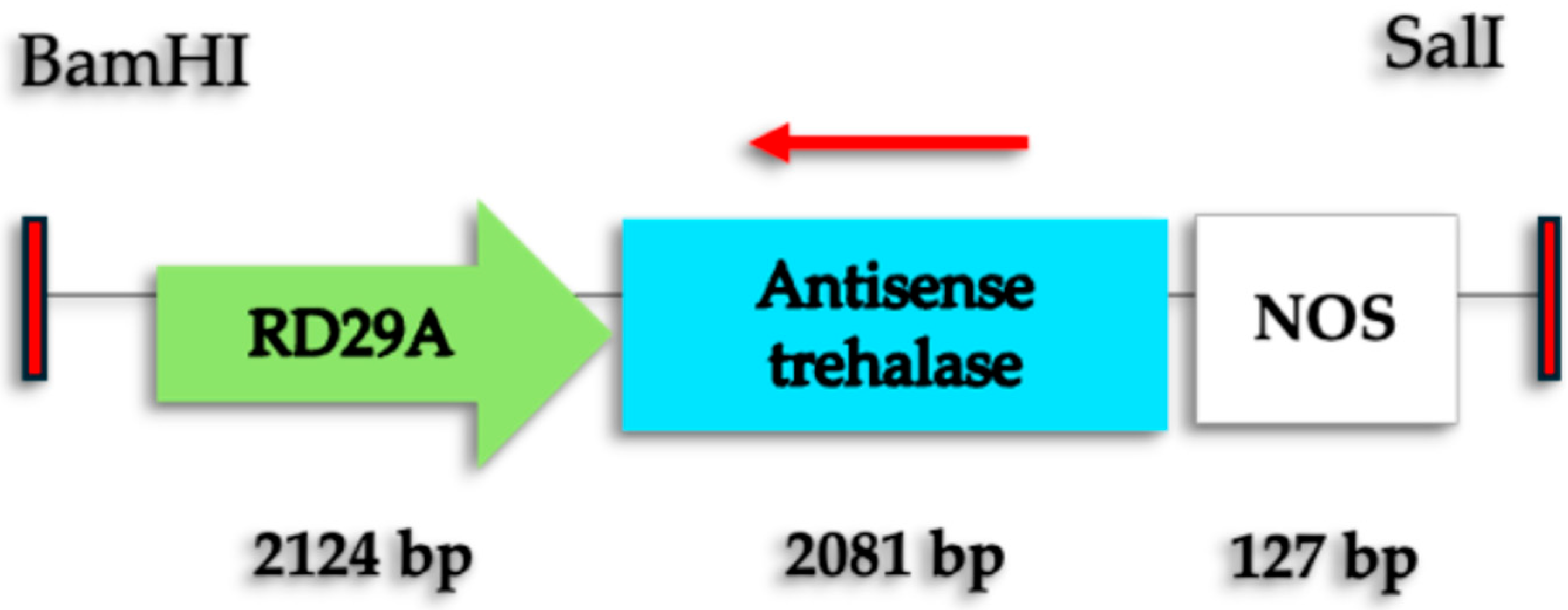 Ijms 26 09224 g001 Ijms 26 09224 g001