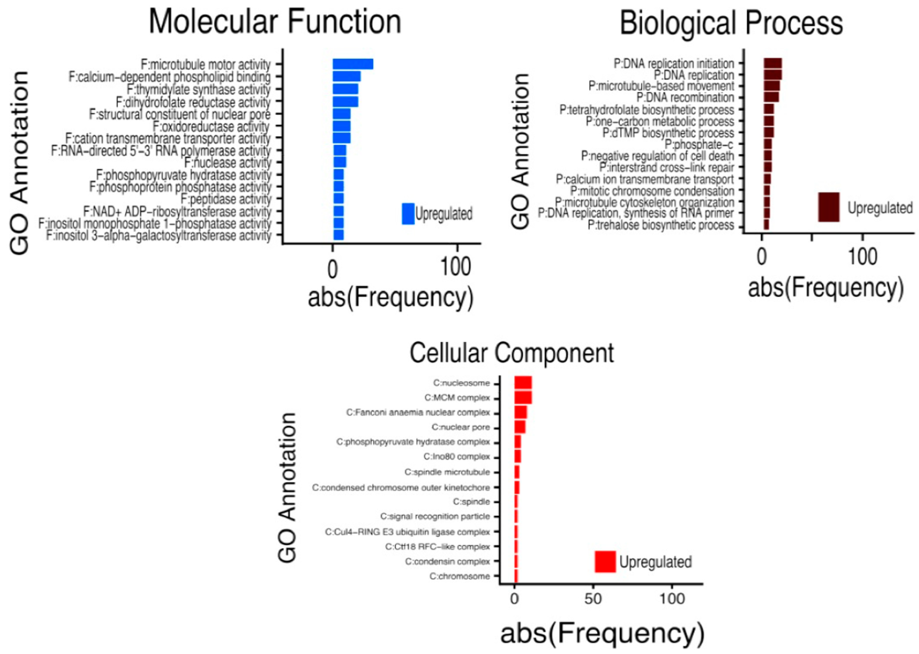 Ijms 26 09224 g006 Ijms 26 09224 g006