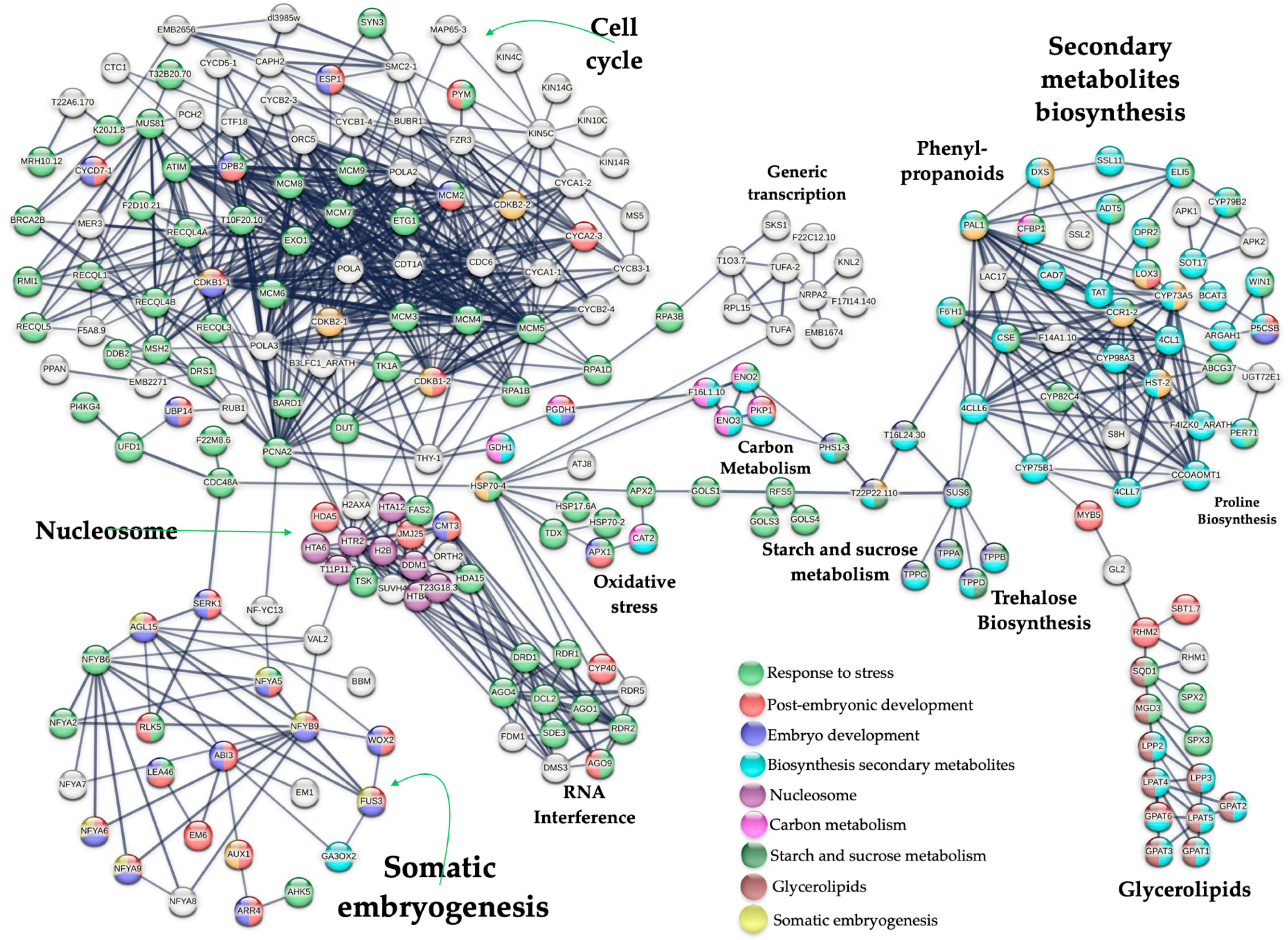 Ijms 26 09224 g008 Ijms 26 09224 g008