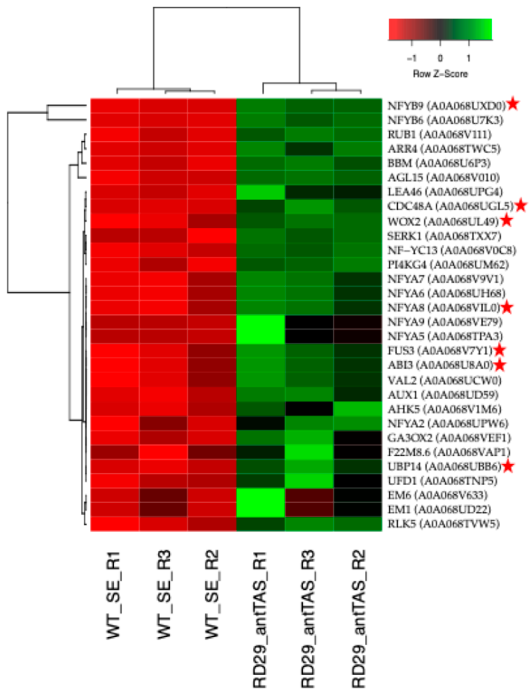 Ijms 26 09224 g010 Ijms 26 09224 g010