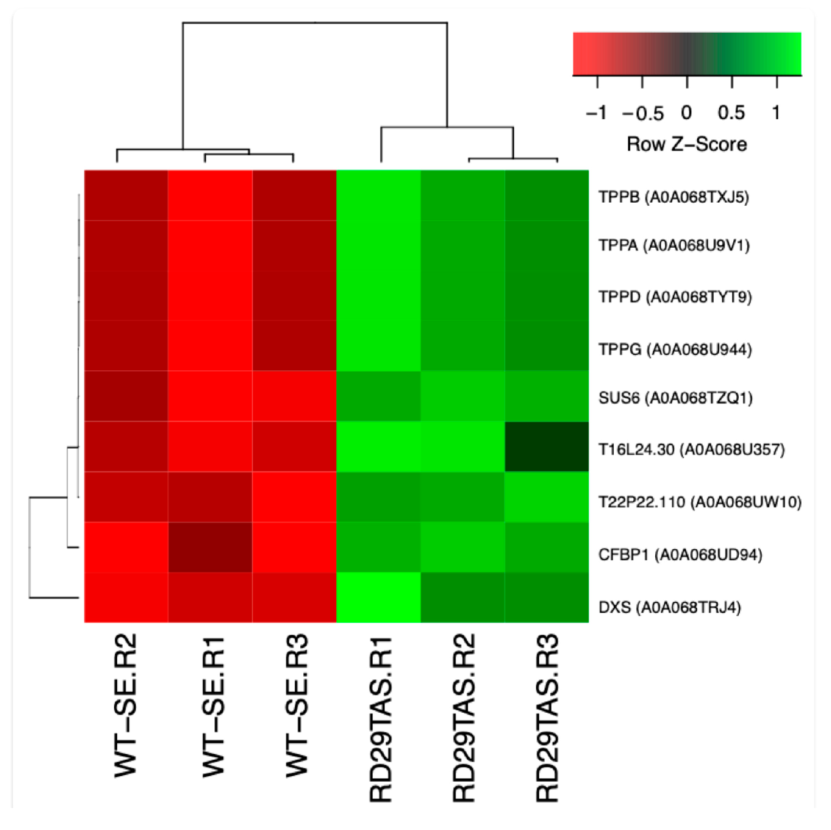 Ijms 26 09224 g011 Ijms 26 09224 g011