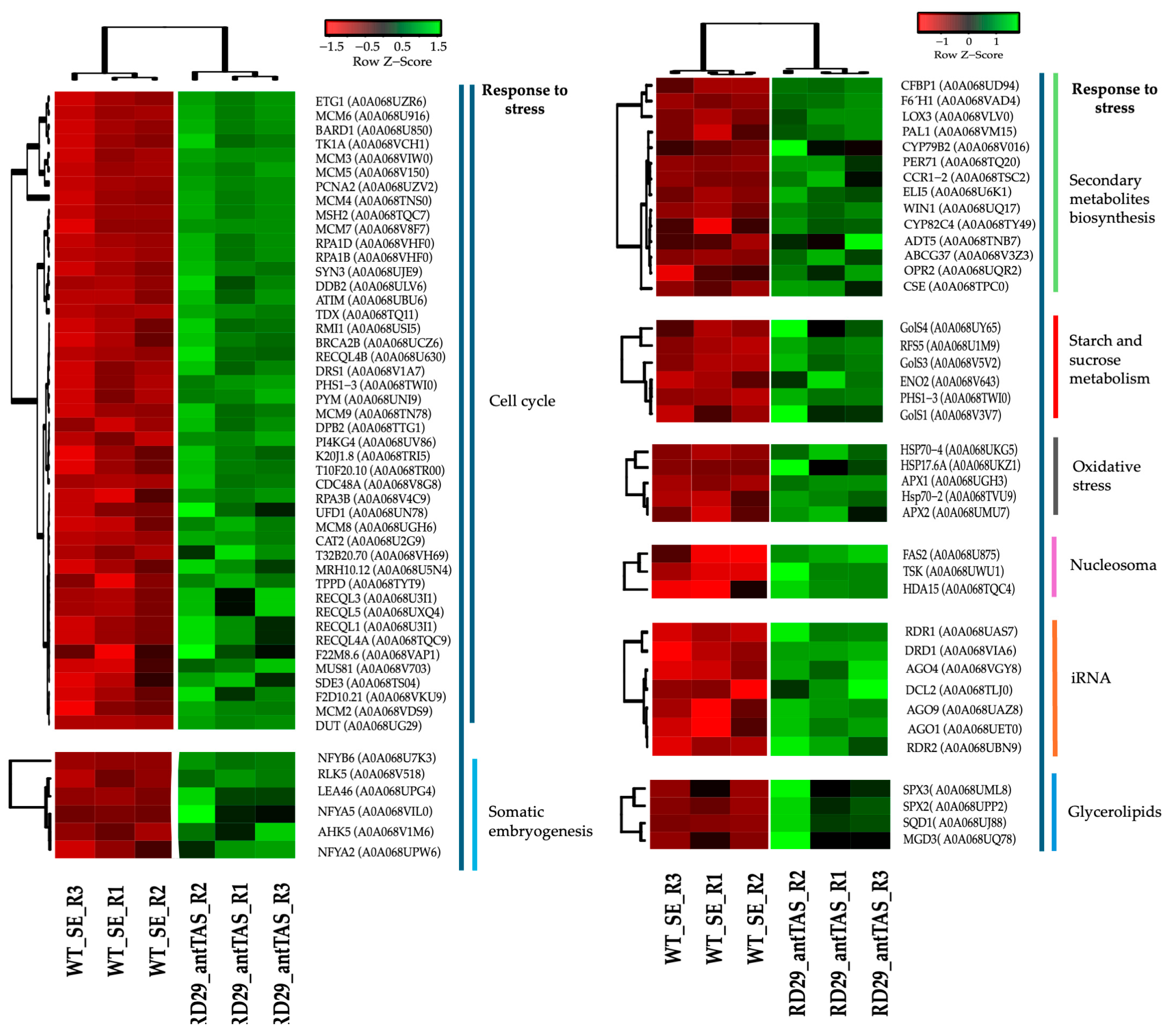 Ijms 26 09224 g012 Ijms 26 09224 g012