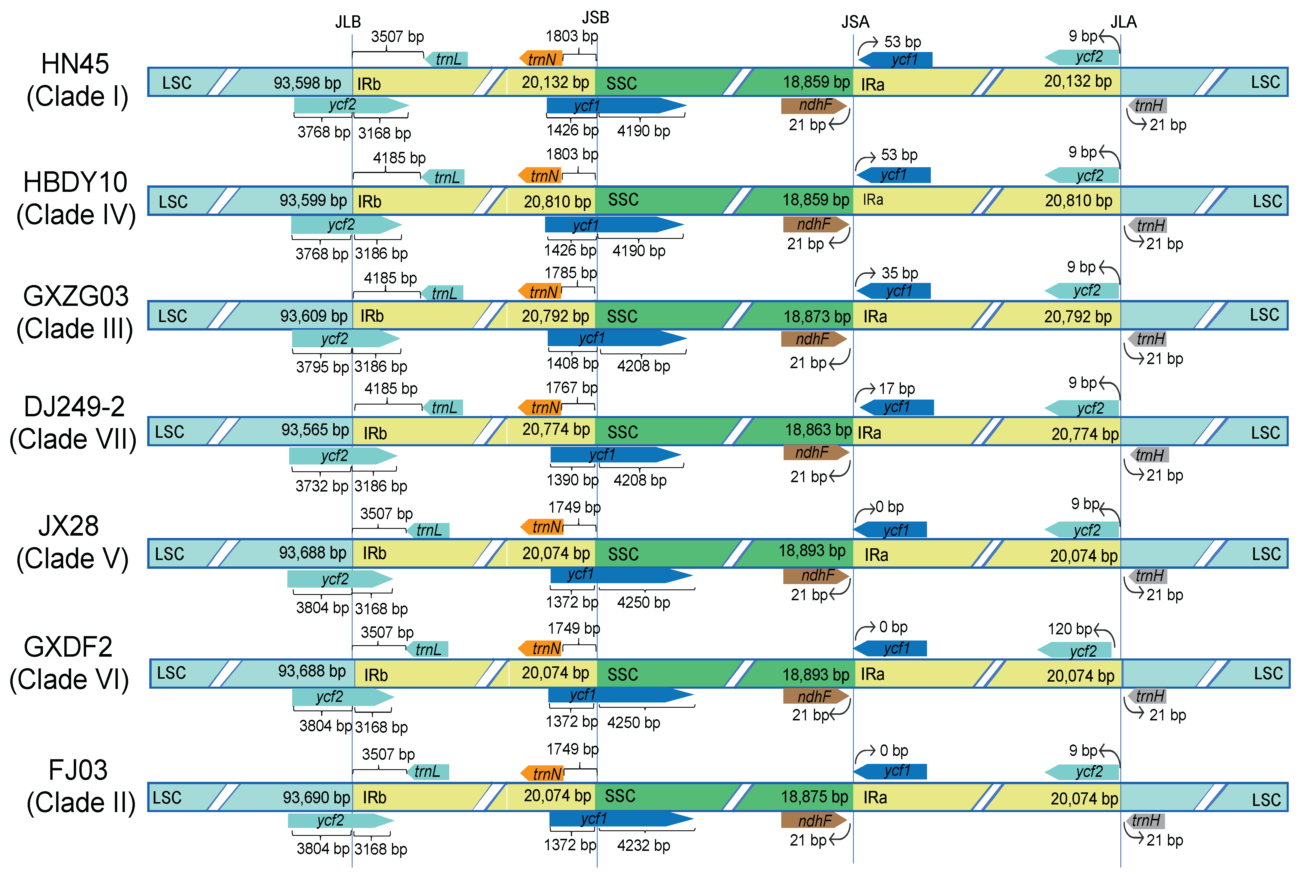 Ijms 26 09229 g003 Ijms 26 09229 g003