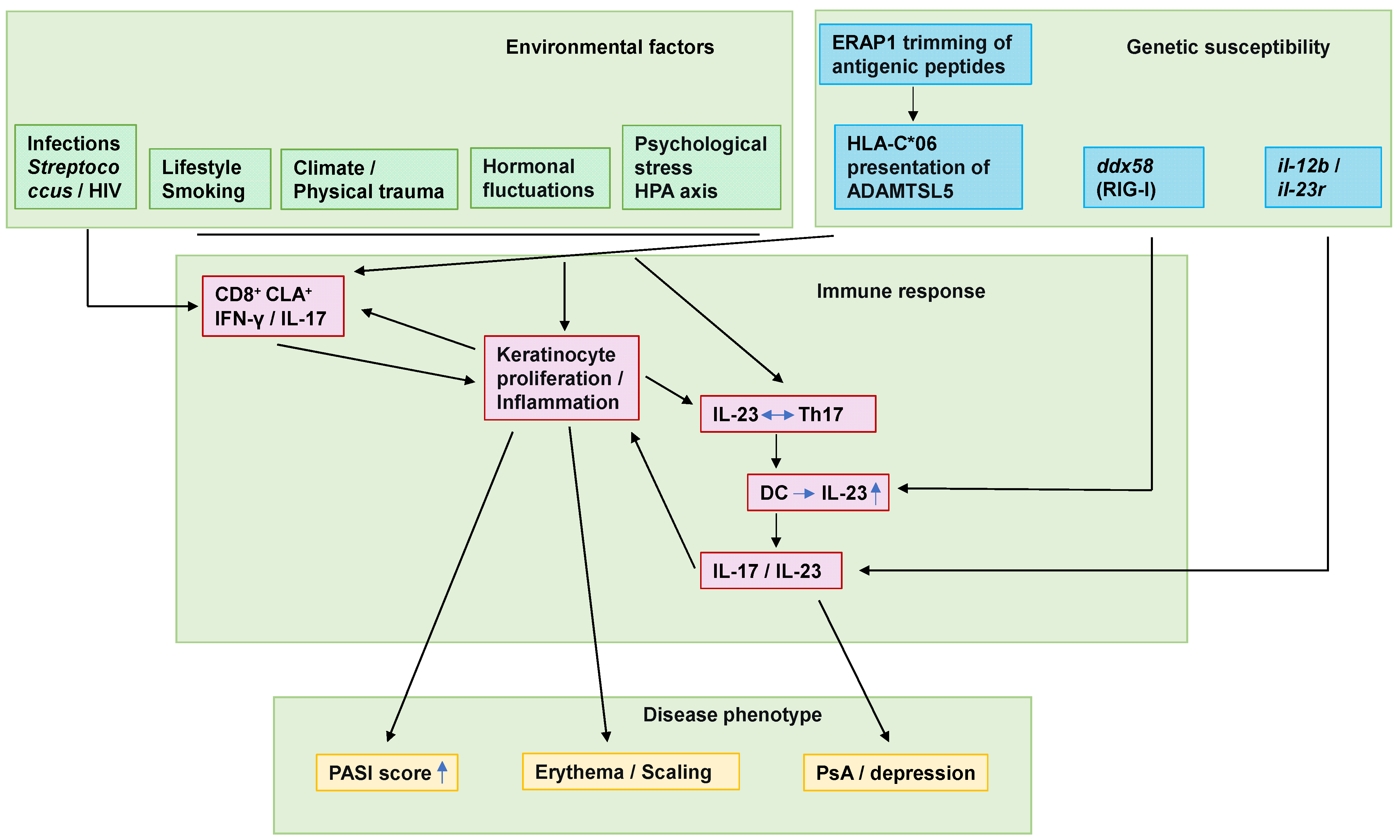 Ijms 26 09233 g001 Ijms 26 09233 g001