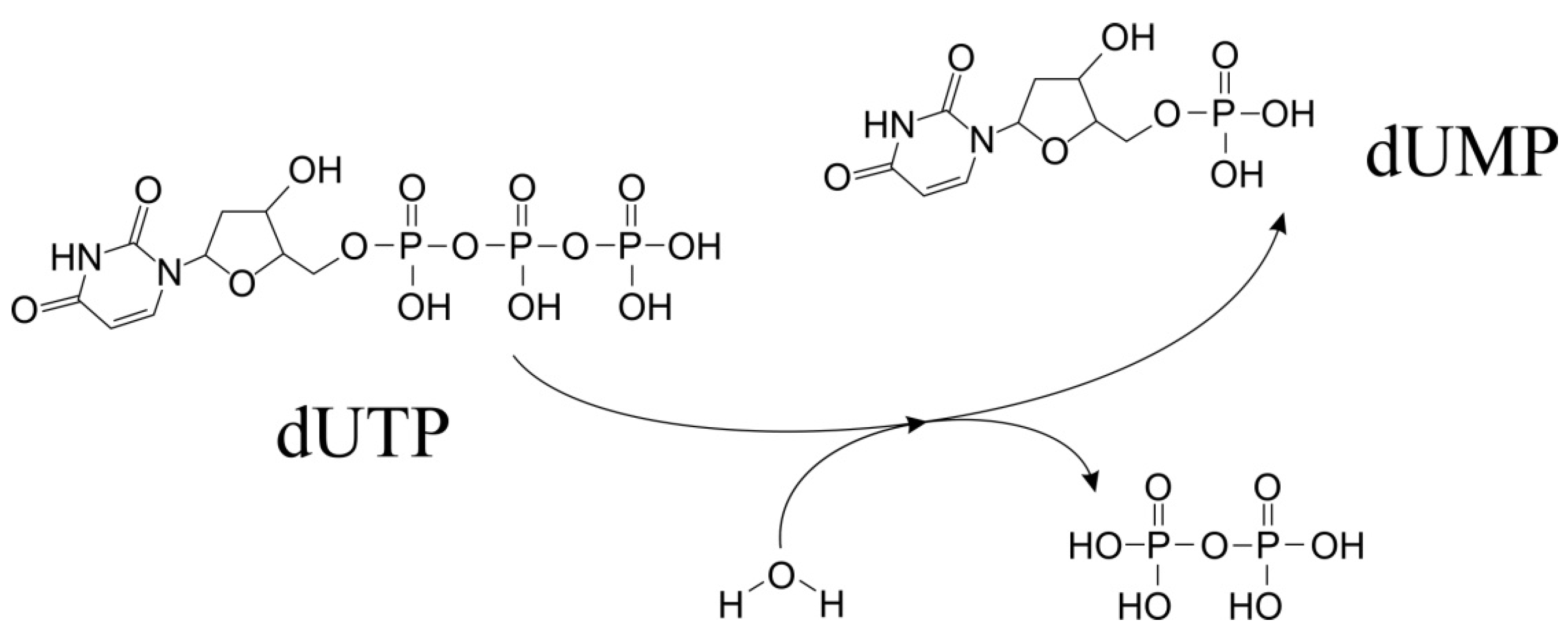 Ijms 26 09260 g001 Ijms 26 09260 g001