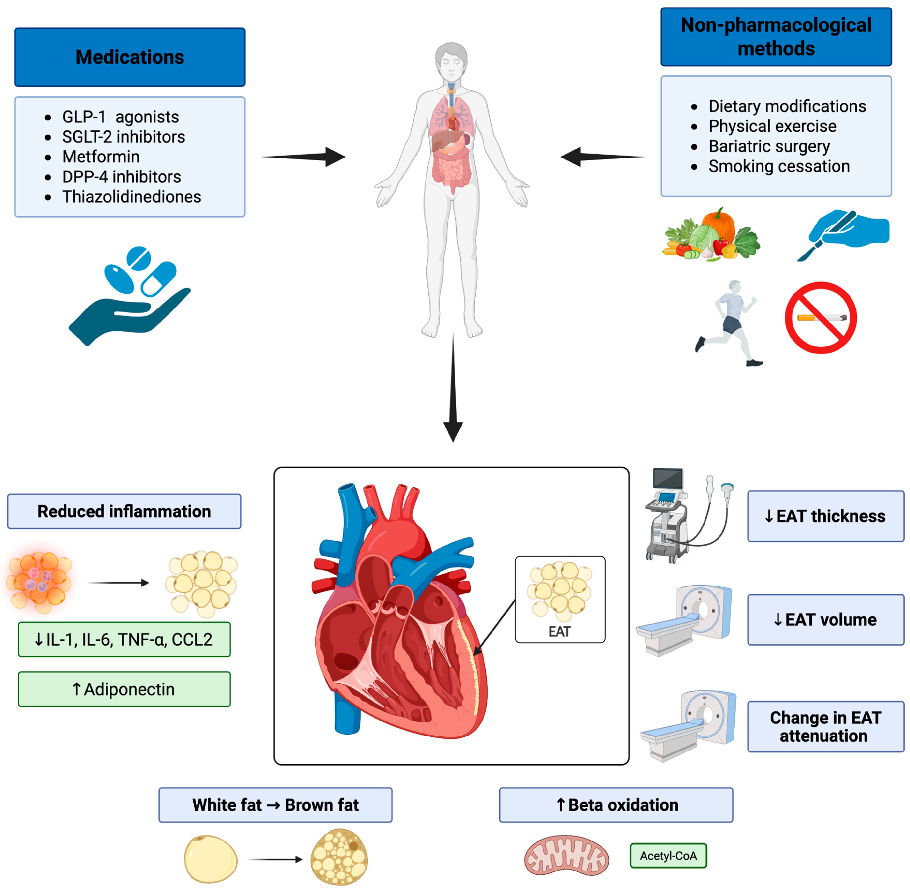 Ijms 26 09271 g001 Ijms 26 09271 g001