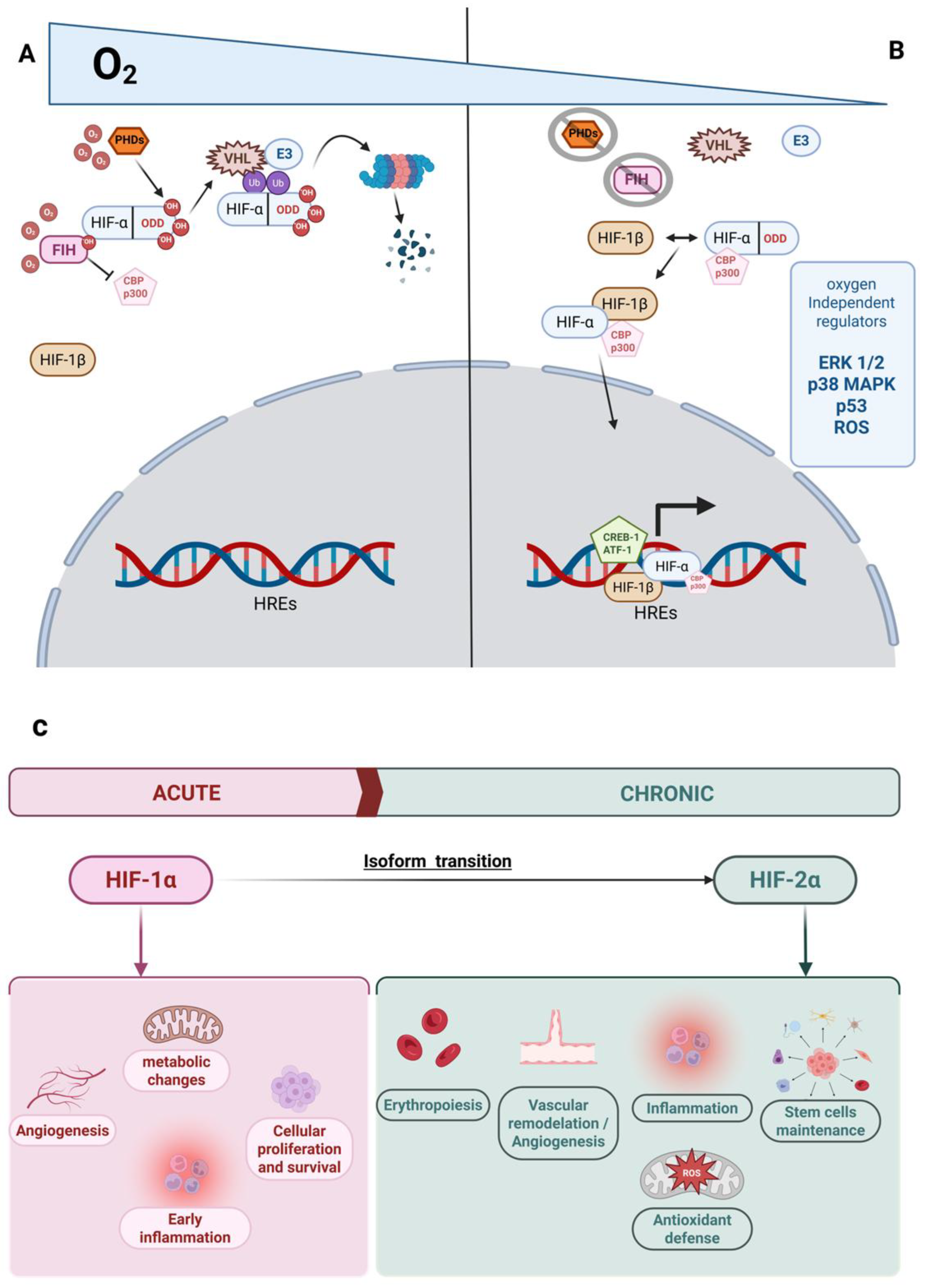 Ijms 26 09272 g001 Ijms 26 09272 g001