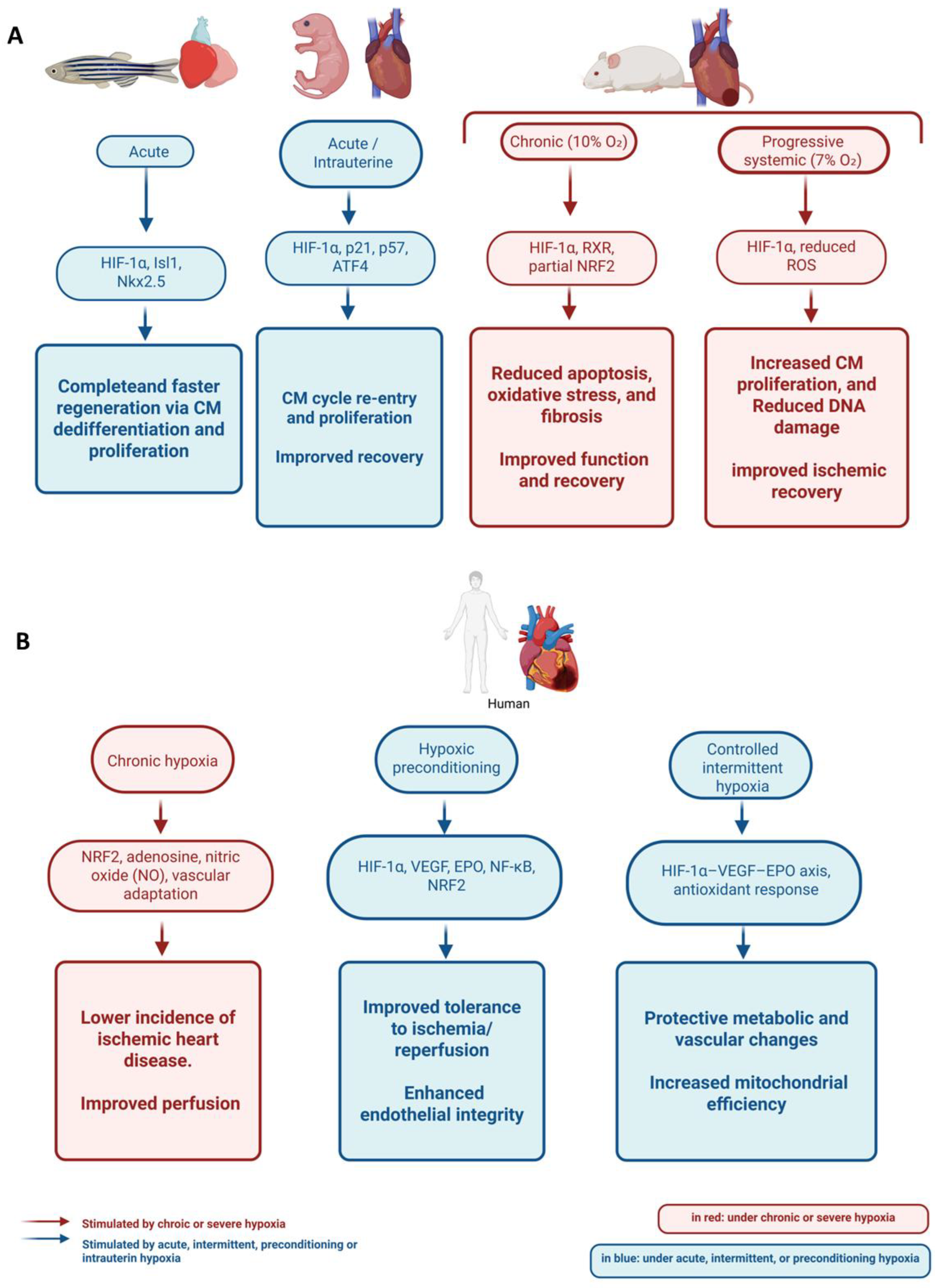 Ijms 26 09272 g003 Ijms 26 09272 g003