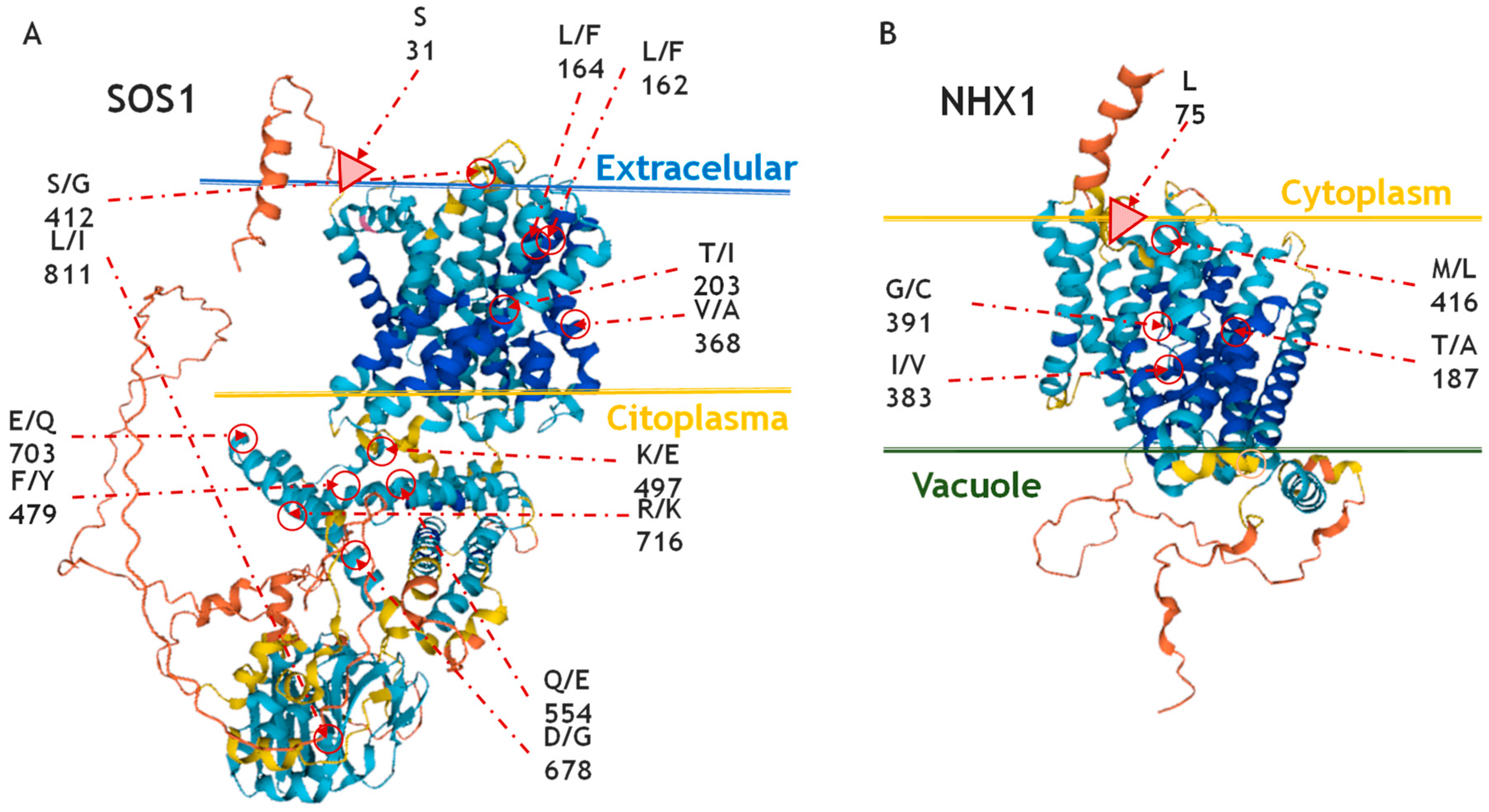 Ijms 26 09276 g002 Ijms 26 09276 g002
