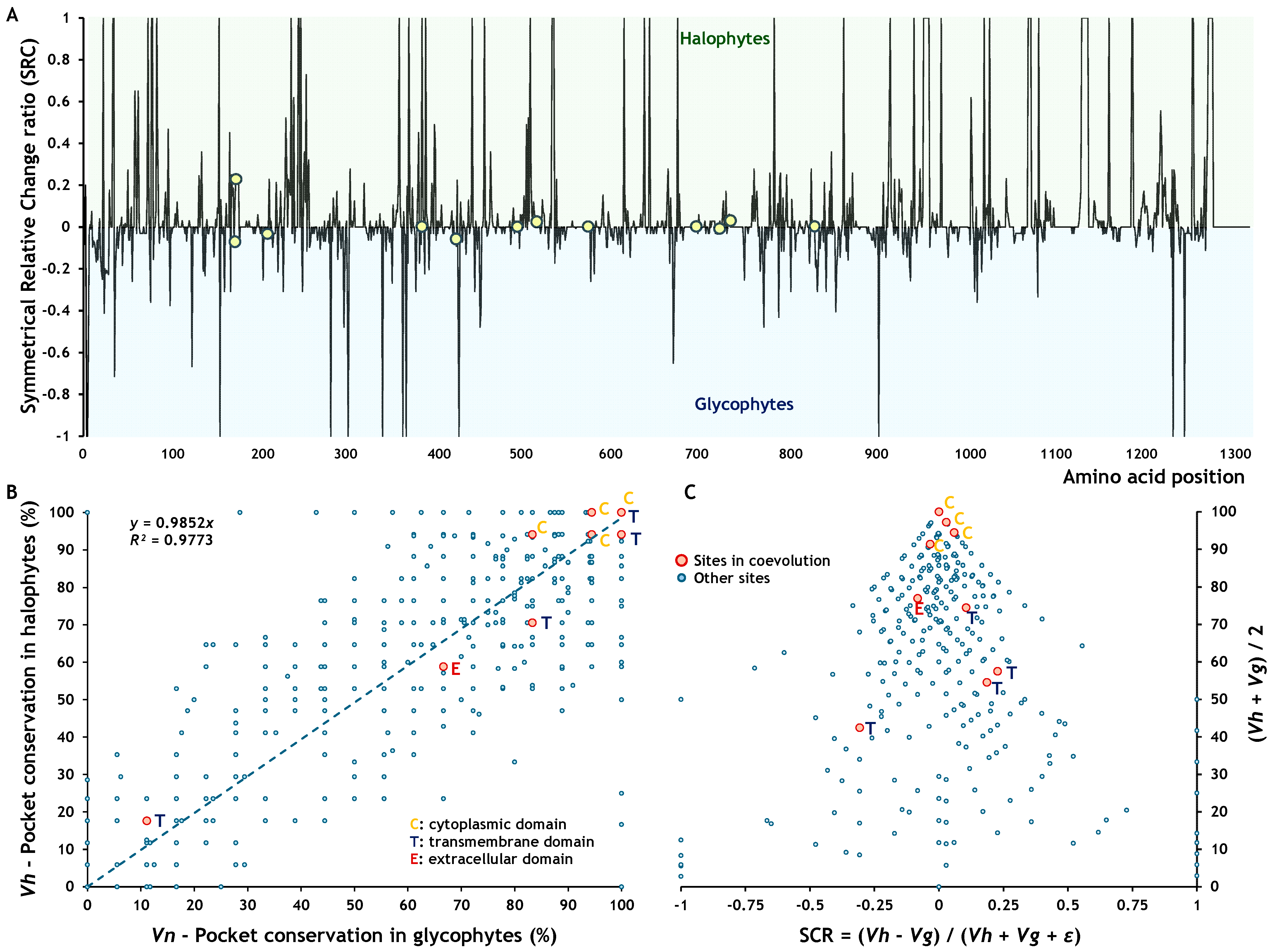 Ijms 26 09276 g005 Ijms 26 09276 g005