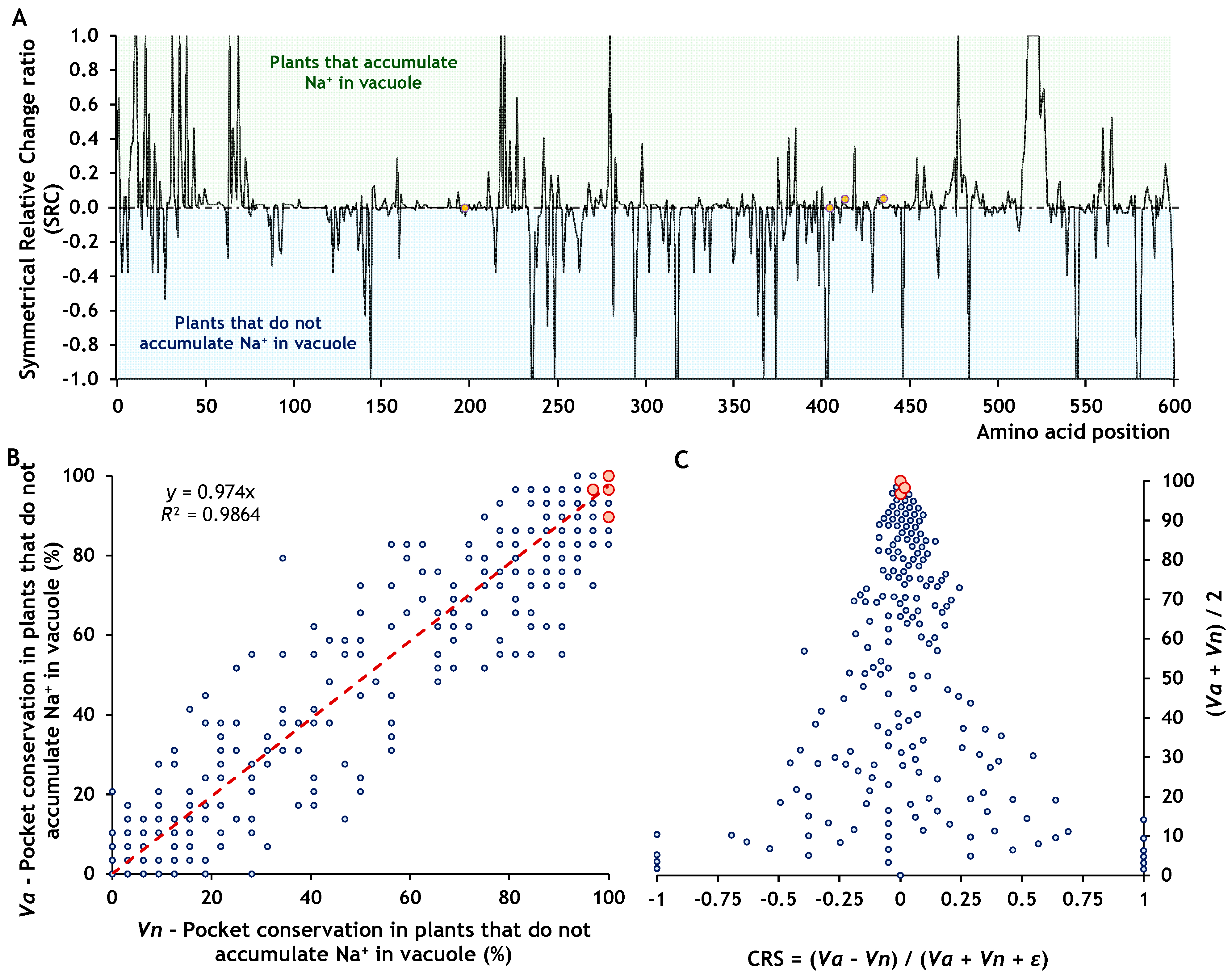 Ijms 26 09276 g007 Ijms 26 09276 g007