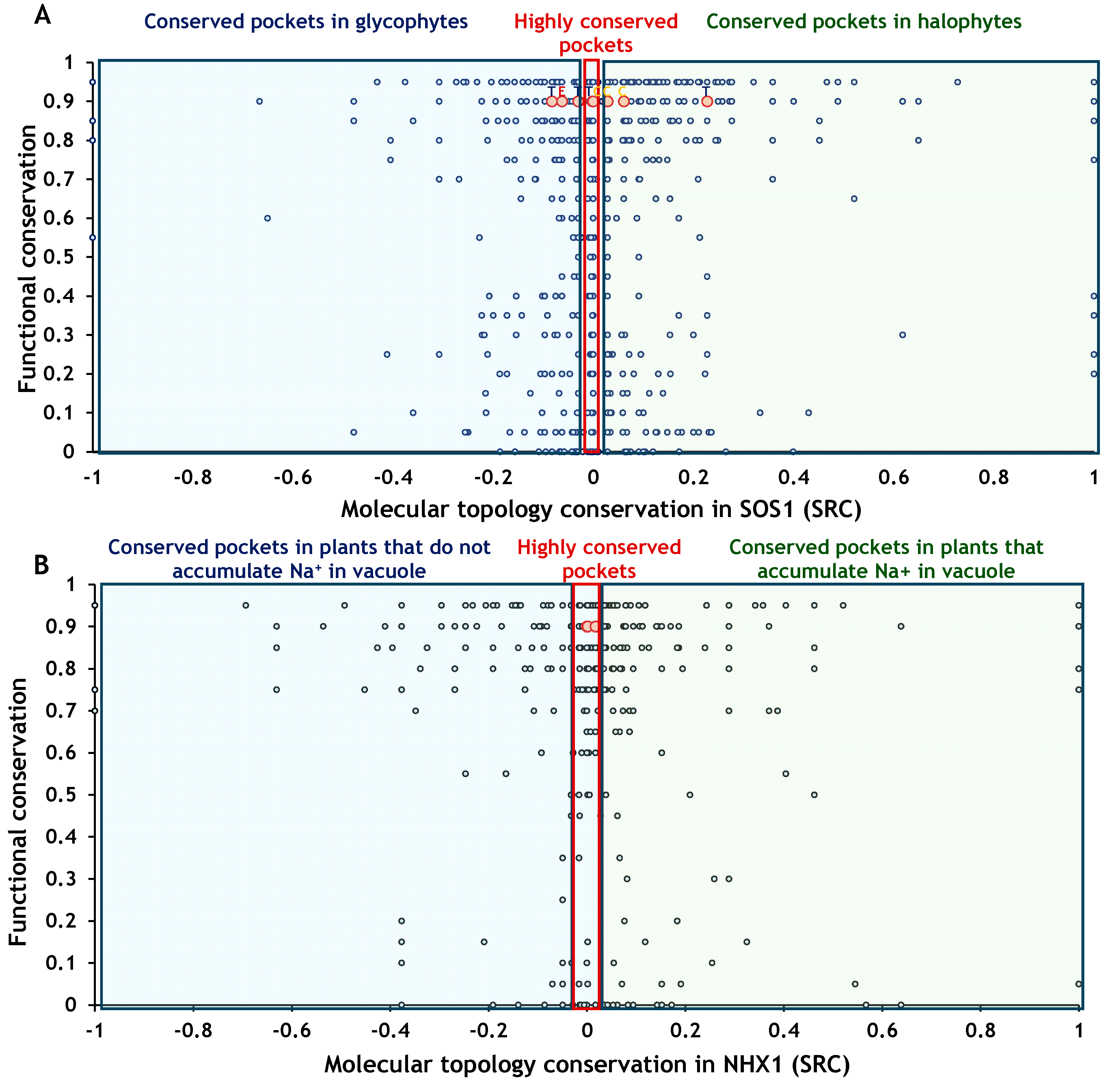 Ijms 26 09276 g008 Ijms 26 09276 g008