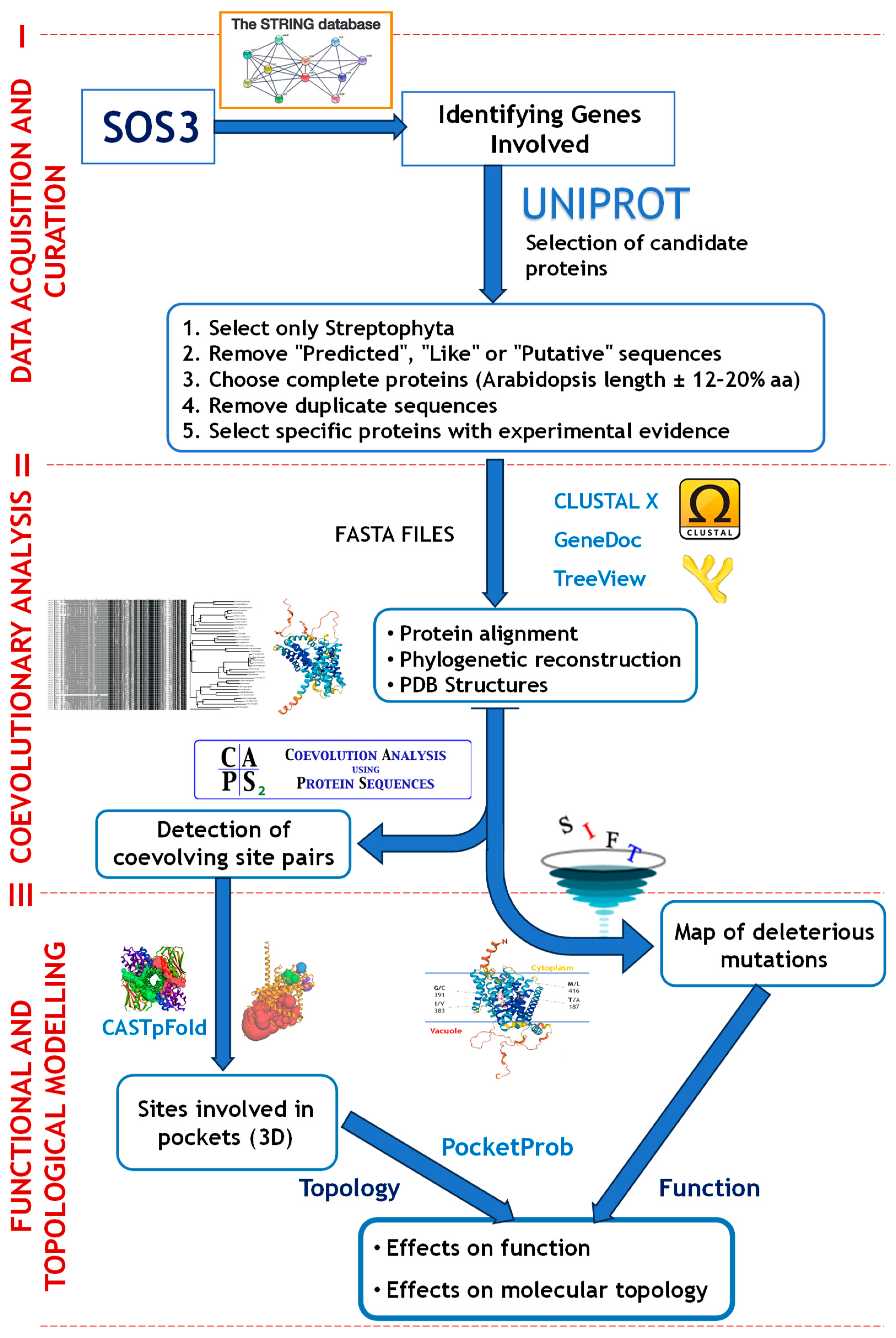Ijms 26 09276 g009 Ijms 26 09276 g009