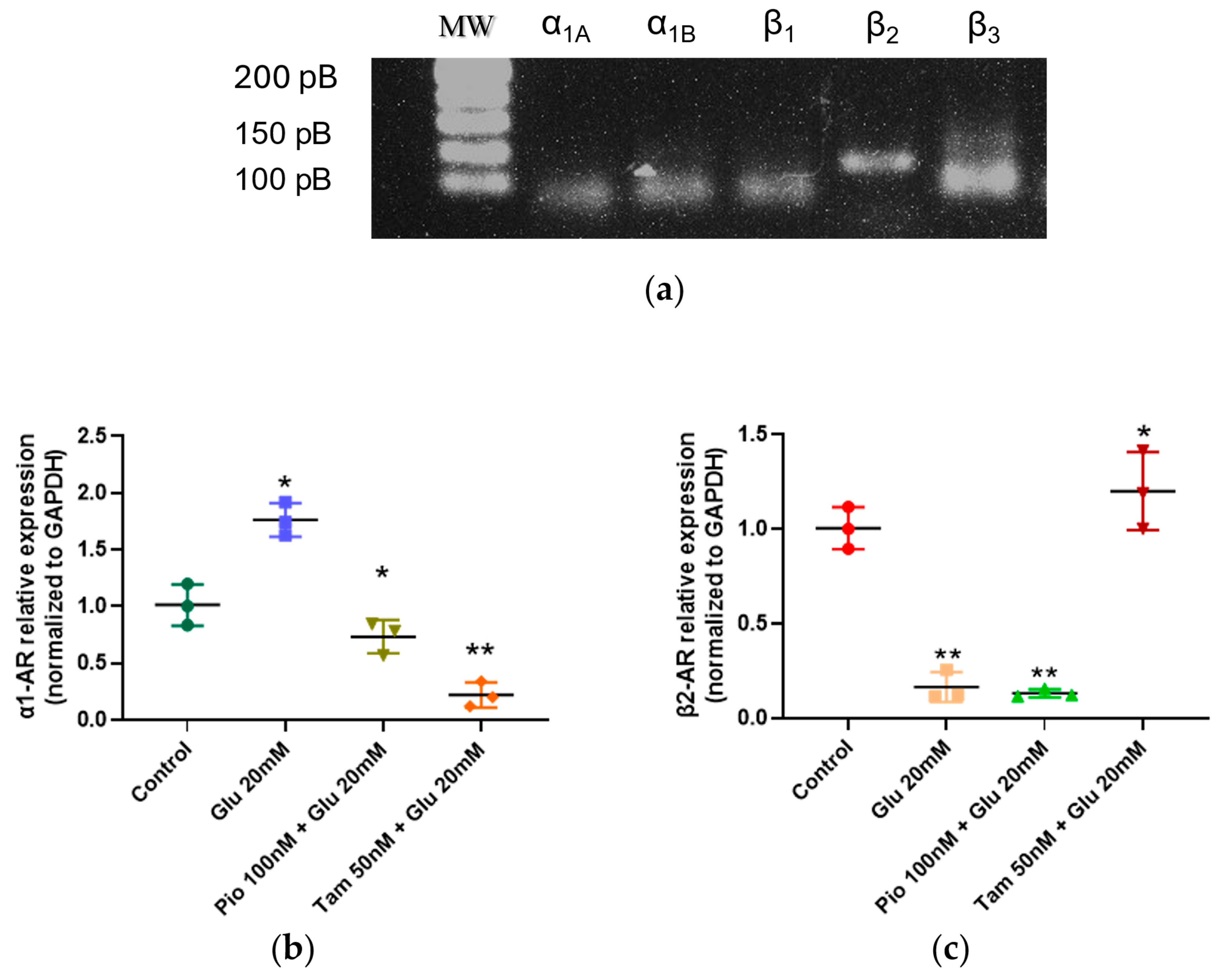 Ijms 26 09277 g003 Ijms 26 09277 g003