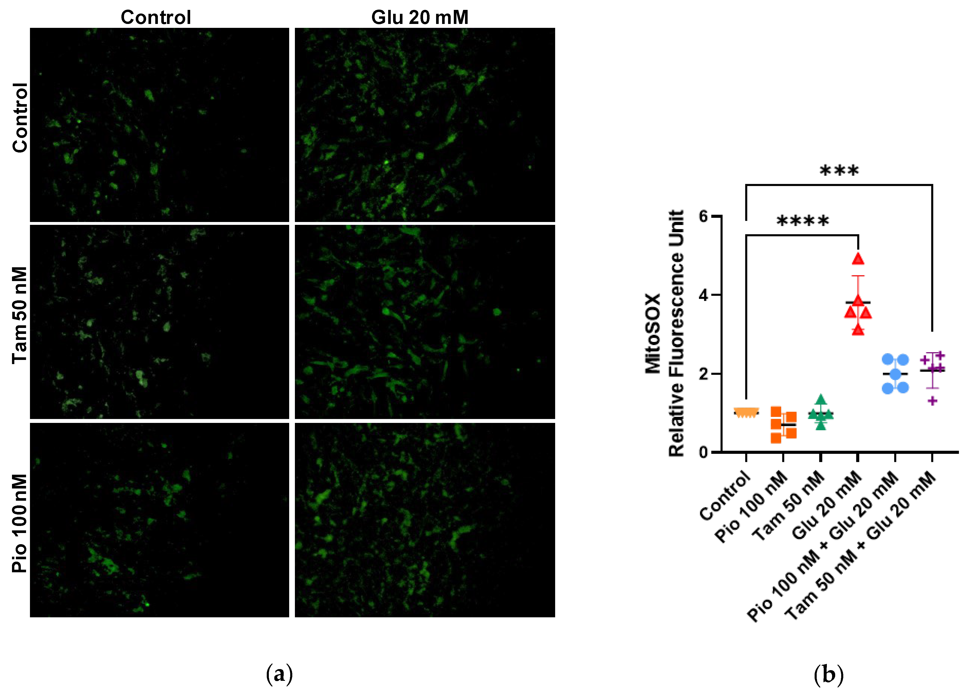 Ijms 26 09277 g004 Ijms 26 09277 g004