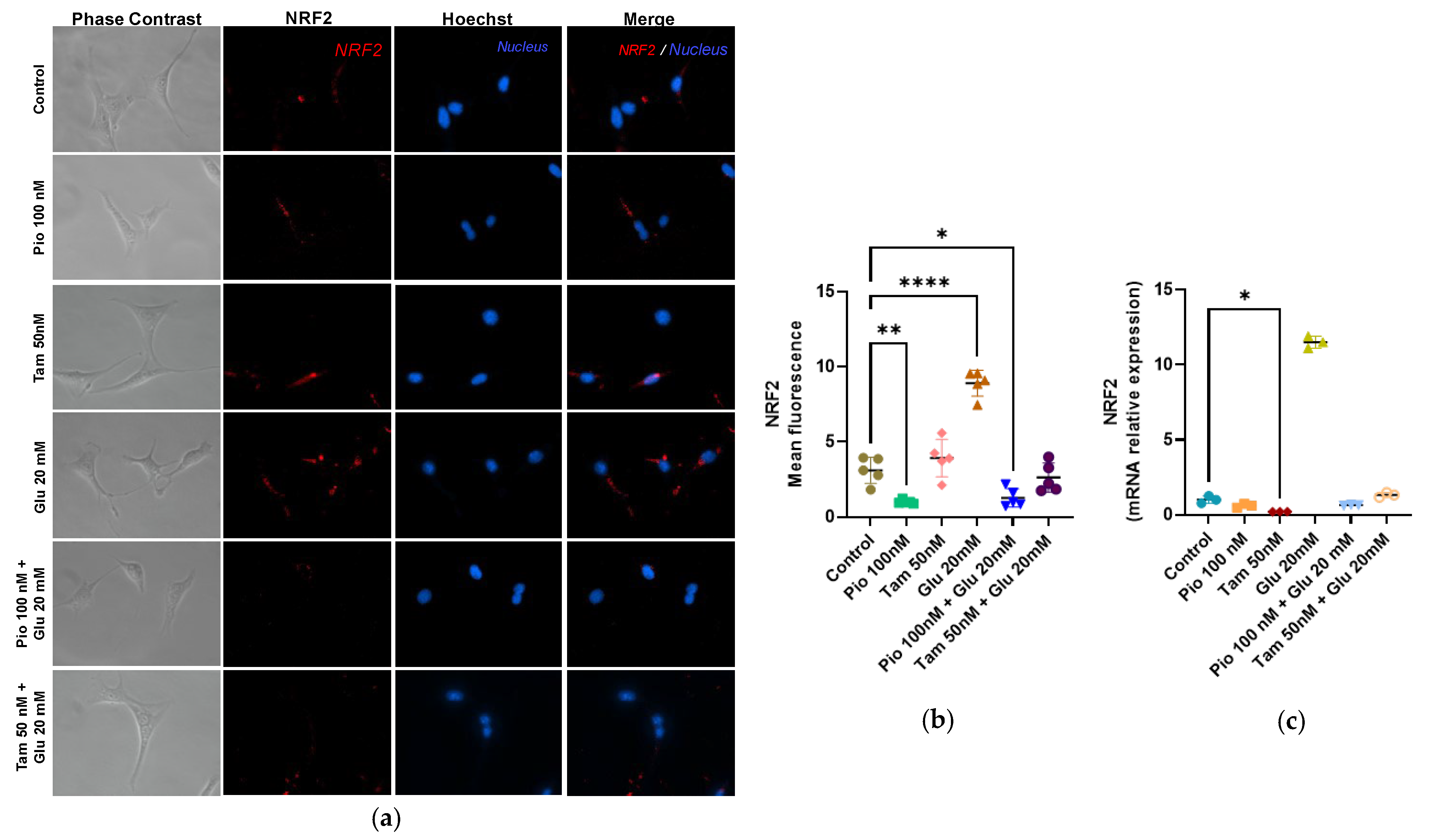 Ijms 26 09277 g005 Ijms 26 09277 g005