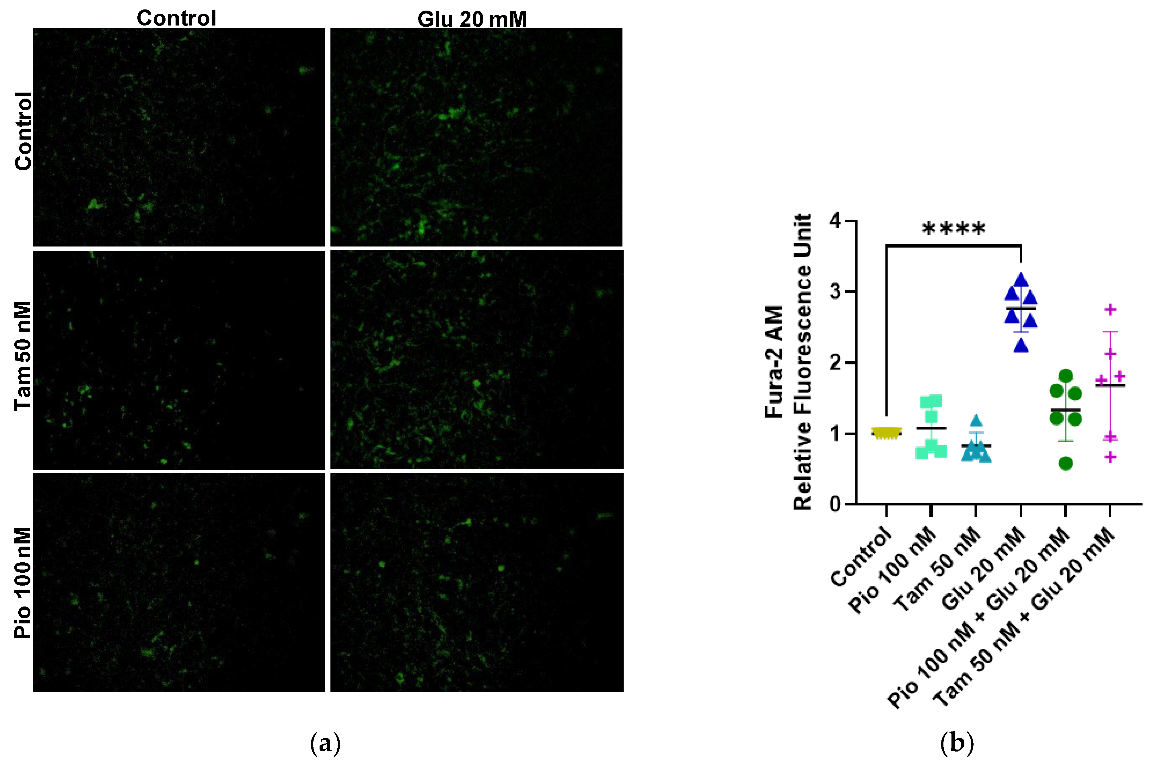 Ijms 26 09277 g006 Ijms 26 09277 g006