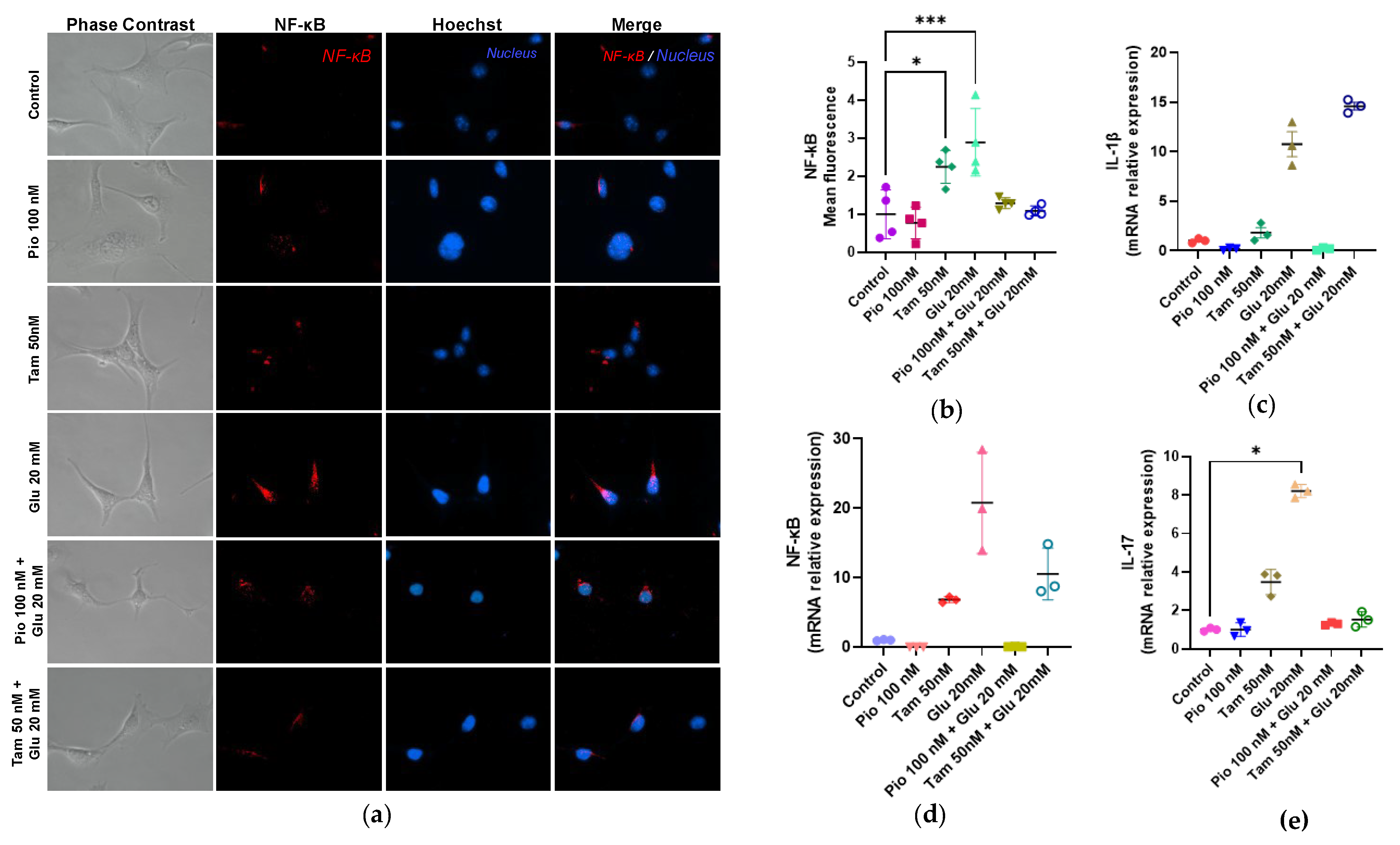 Ijms 26 09277 g007 Ijms 26 09277 g007