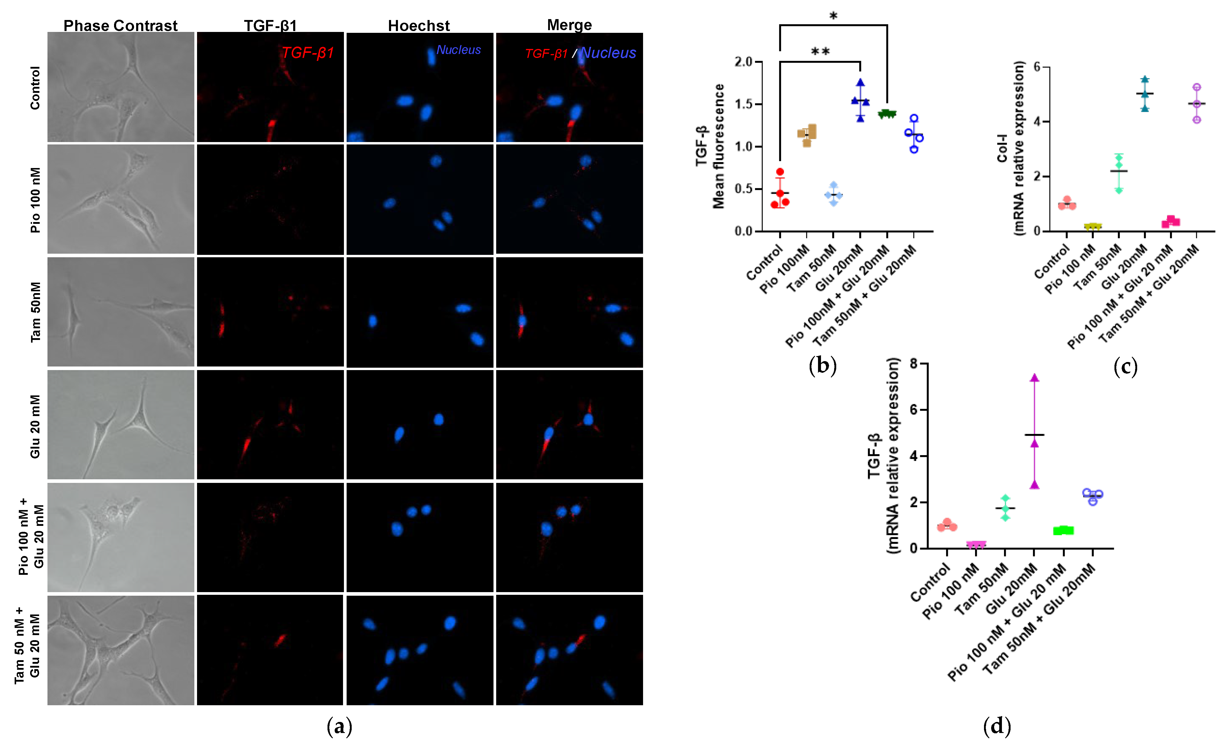 Ijms 26 09277 g008 Ijms 26 09277 g008