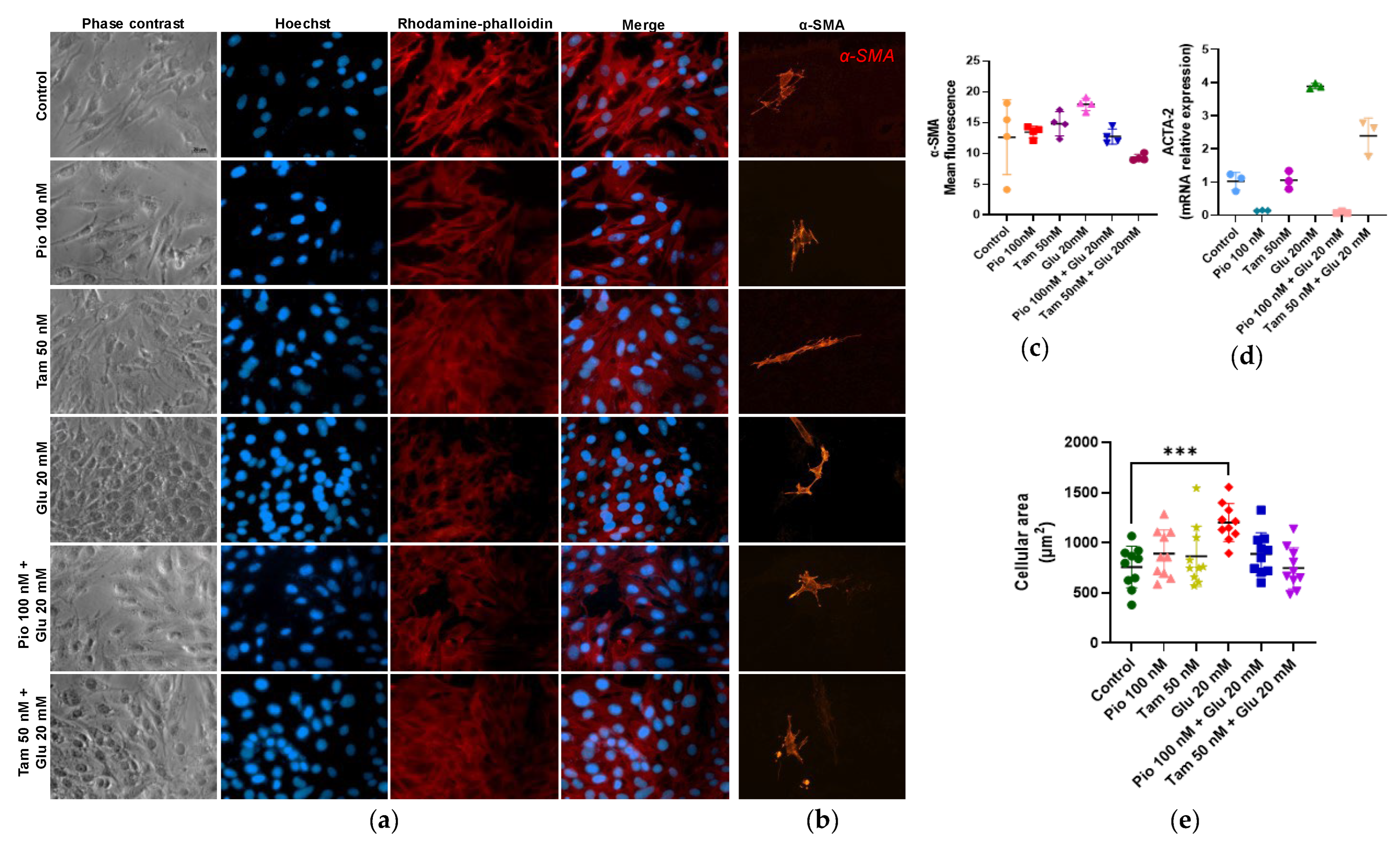 Ijms 26 09277 g009 Ijms 26 09277 g009