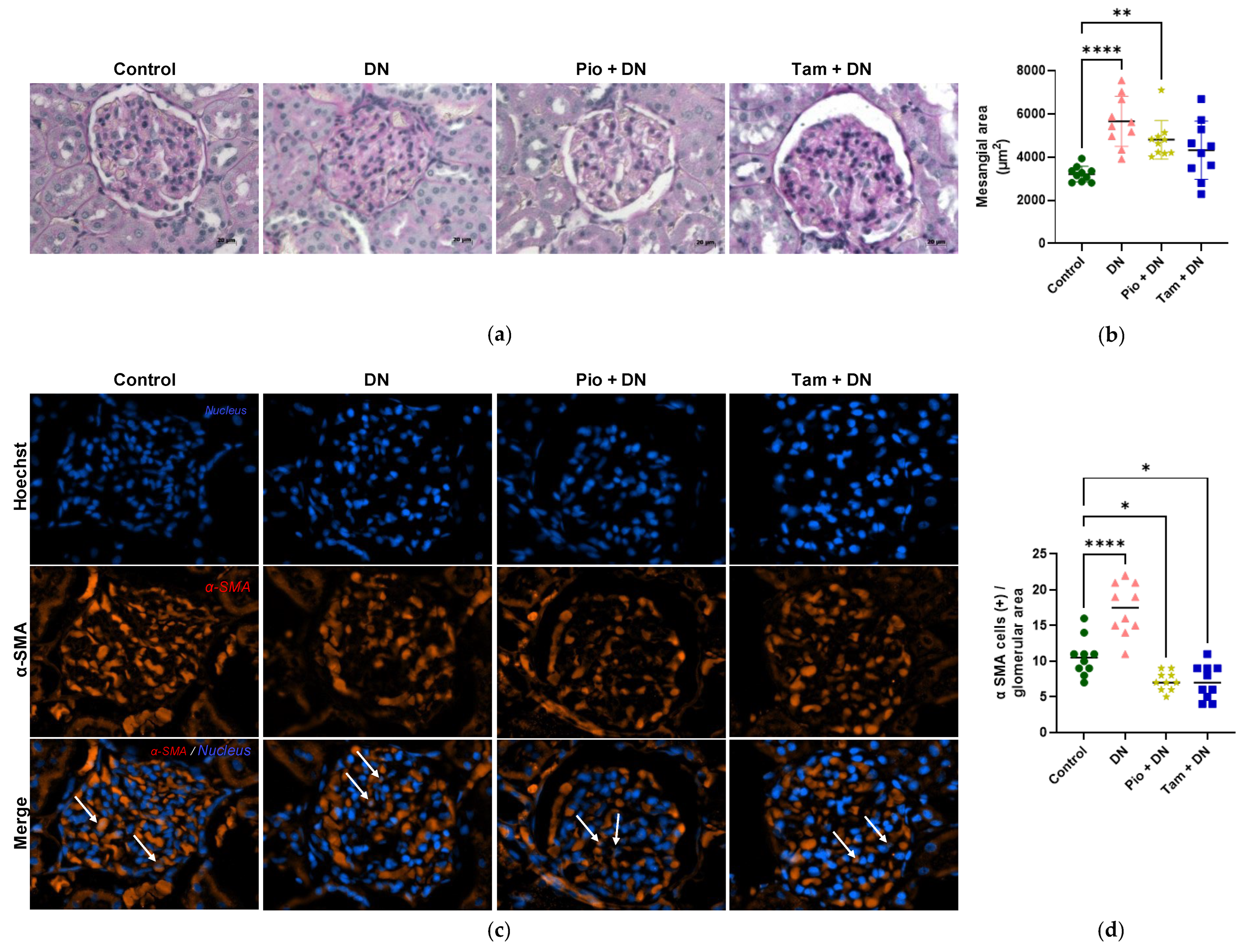Ijms 26 09277 g010 Ijms 26 09277 g010