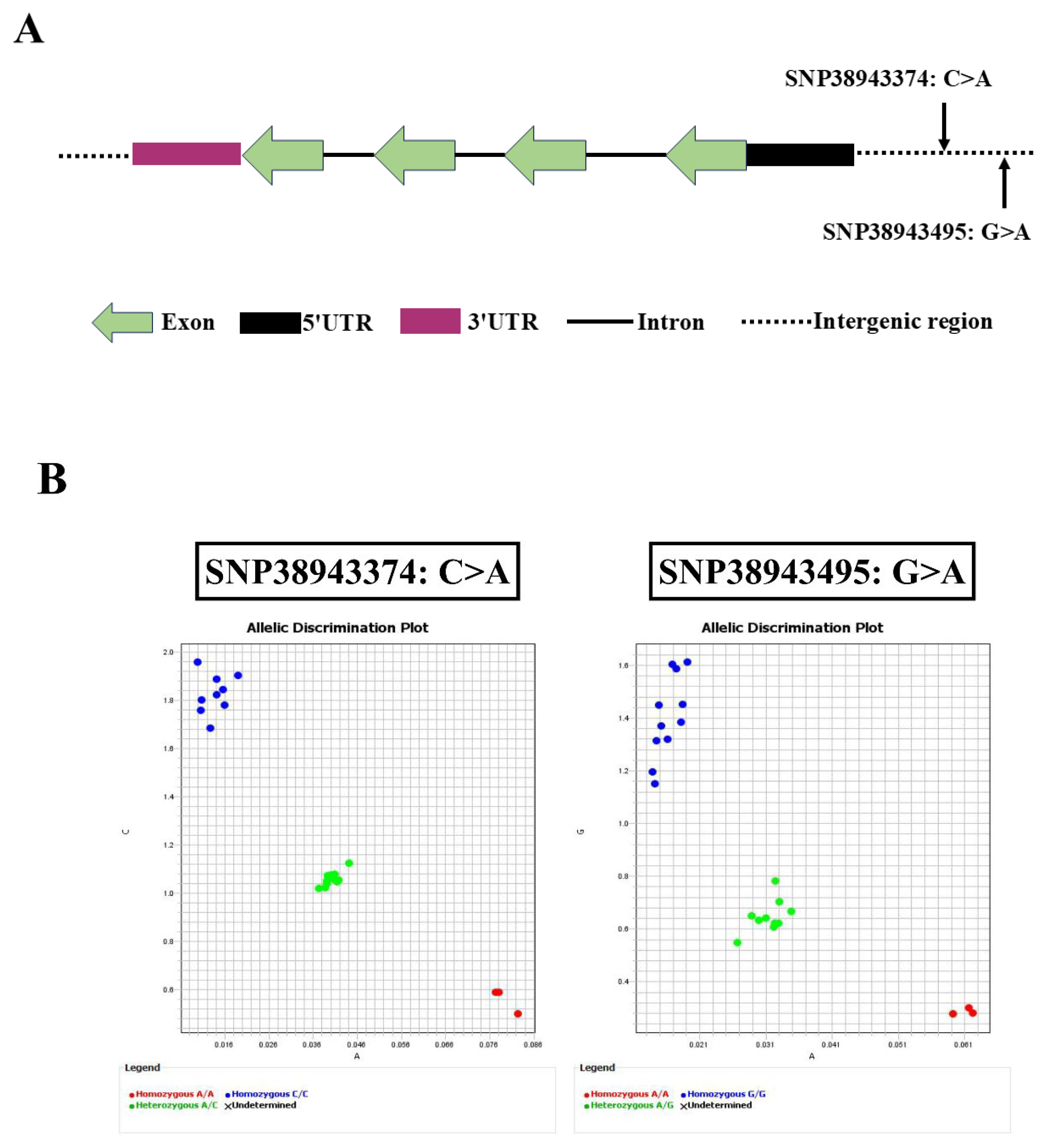 Ijms 26 09281 g001 Ijms 26 09281 g001