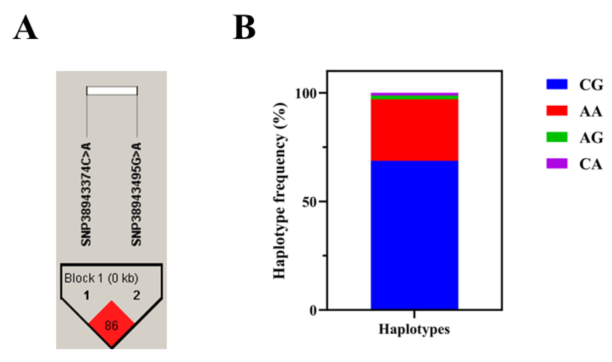 Ijms 26 09281 g004 Ijms 26 09281 g004