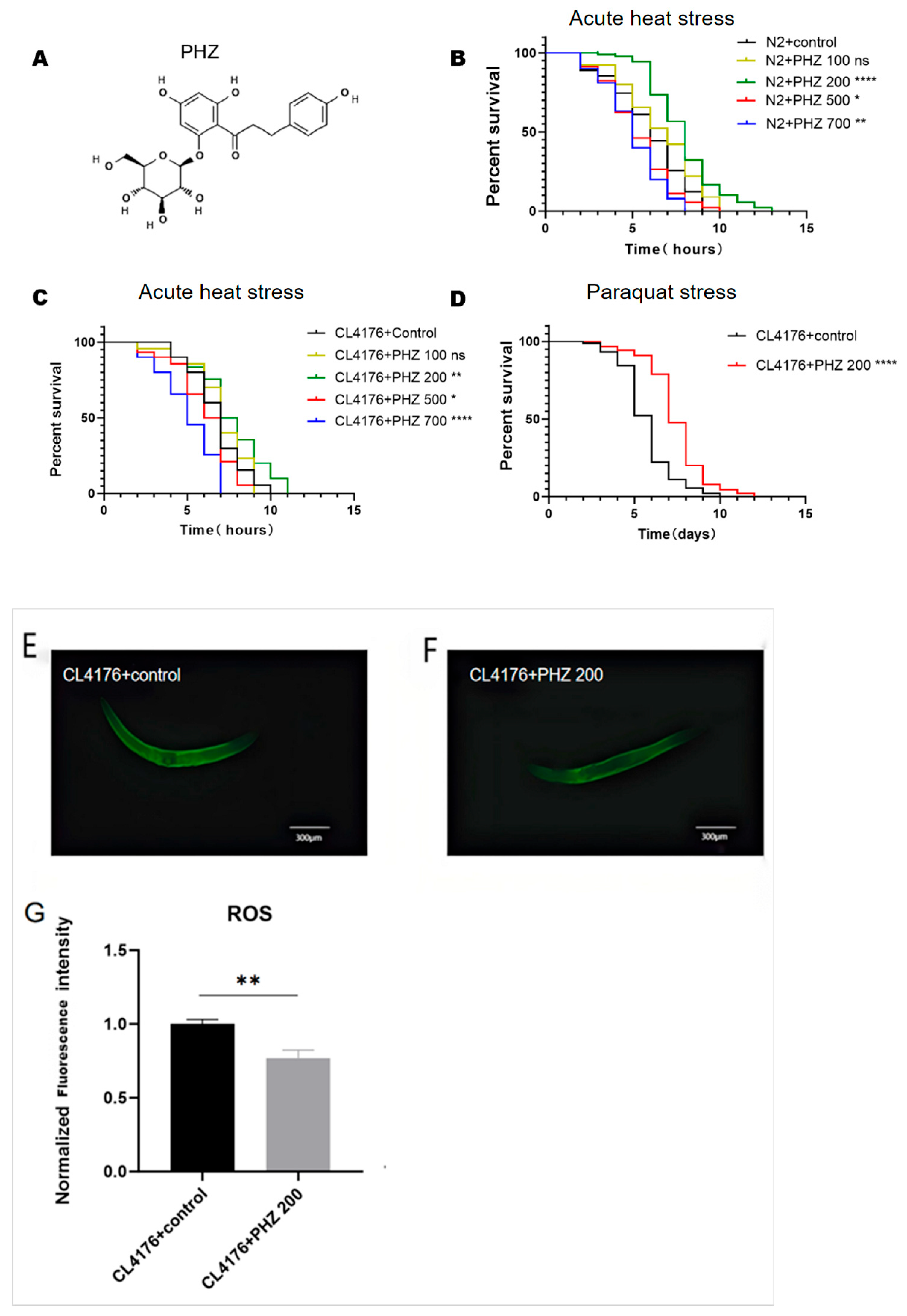 Ijms 26 09303 g001 Ijms 26 09303 g001