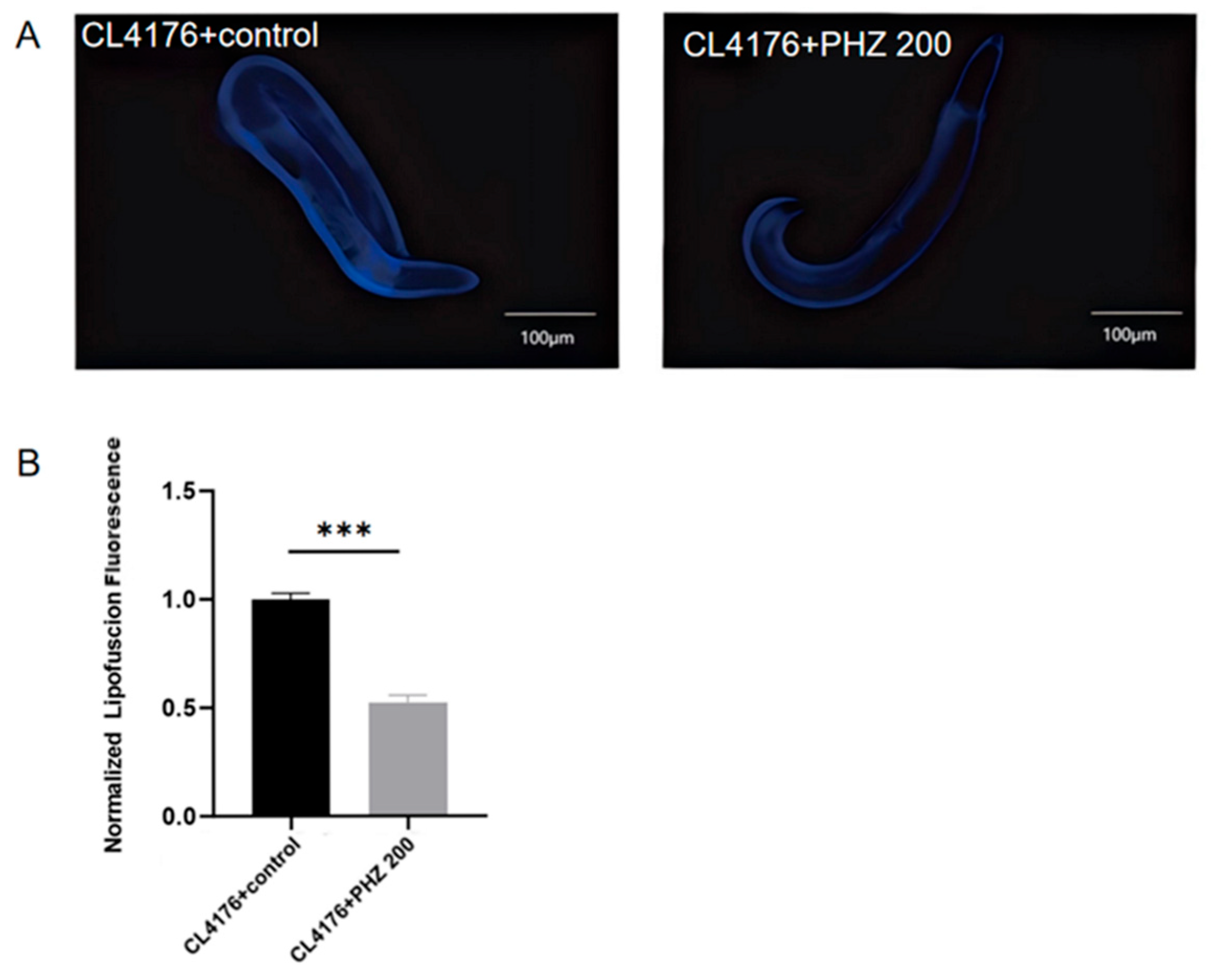 Ijms 26 09303 g003 Ijms 26 09303 g003