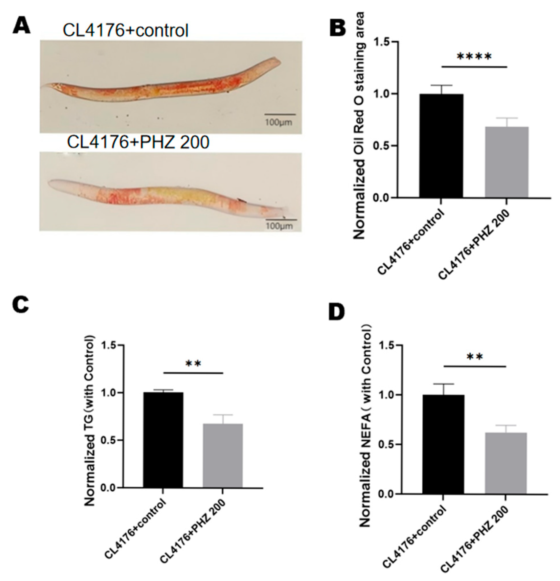 Ijms 26 09303 g005 Ijms 26 09303 g005