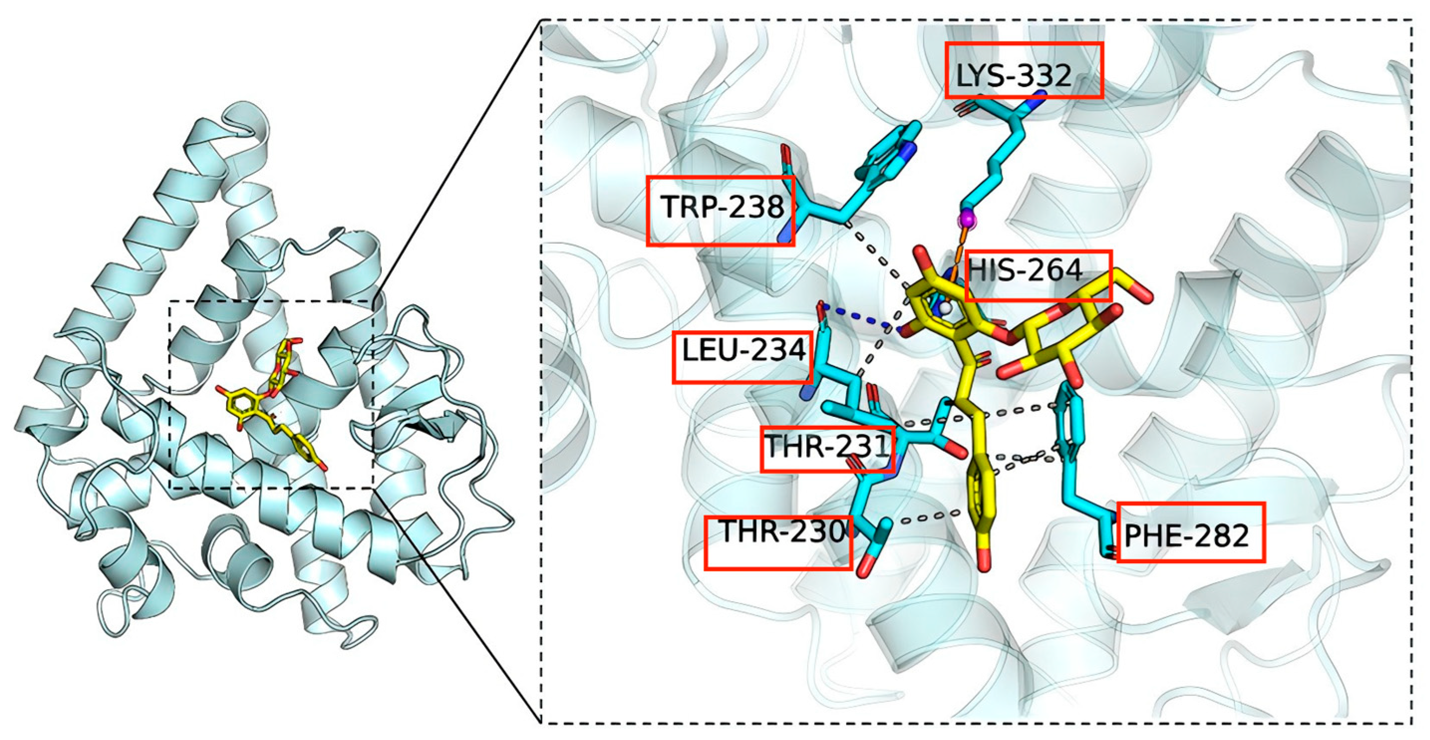 Ijms 26 09303 g007 Ijms 26 09303 g007