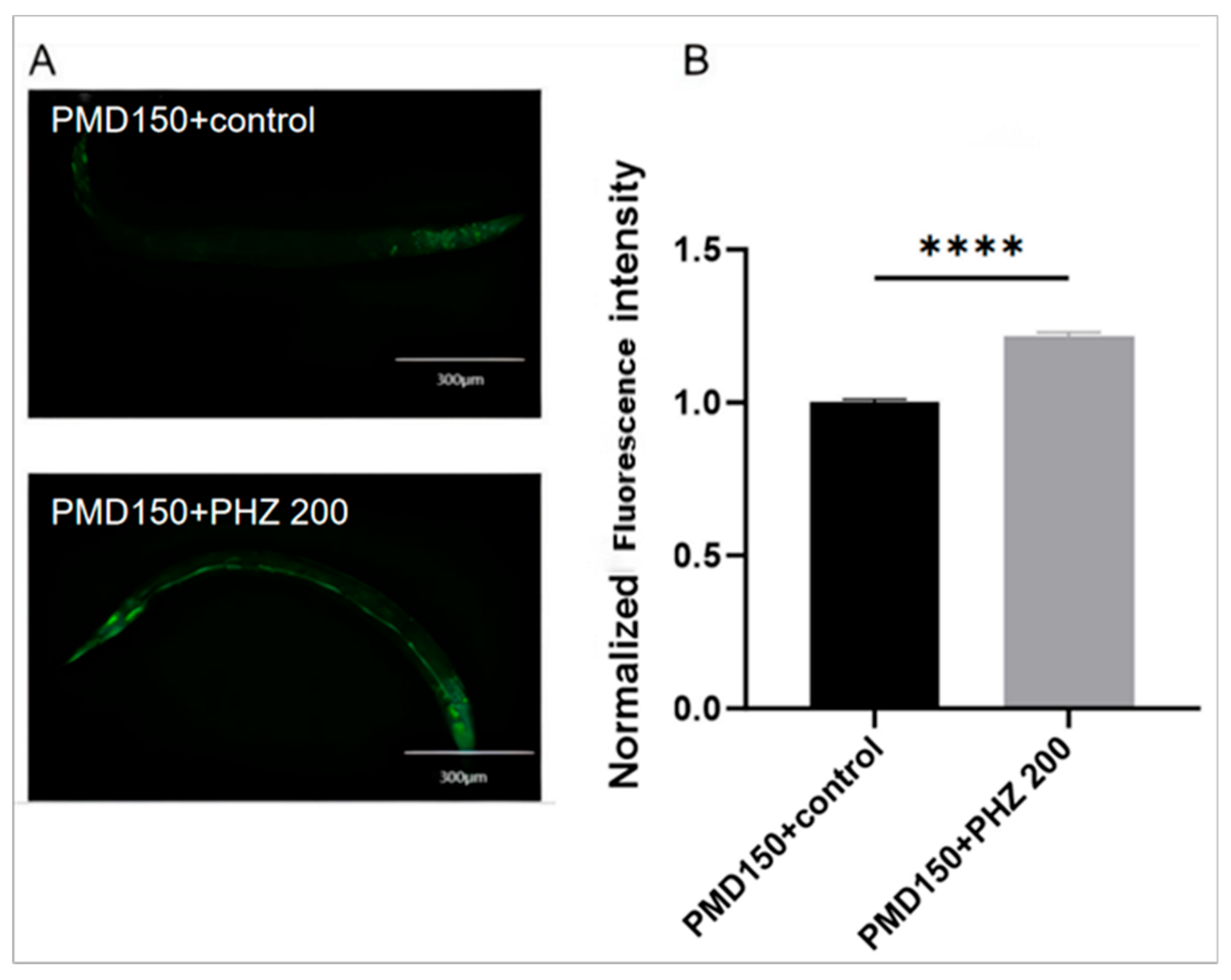 Ijms 26 09303 g008a Ijms 26 09303 g008a