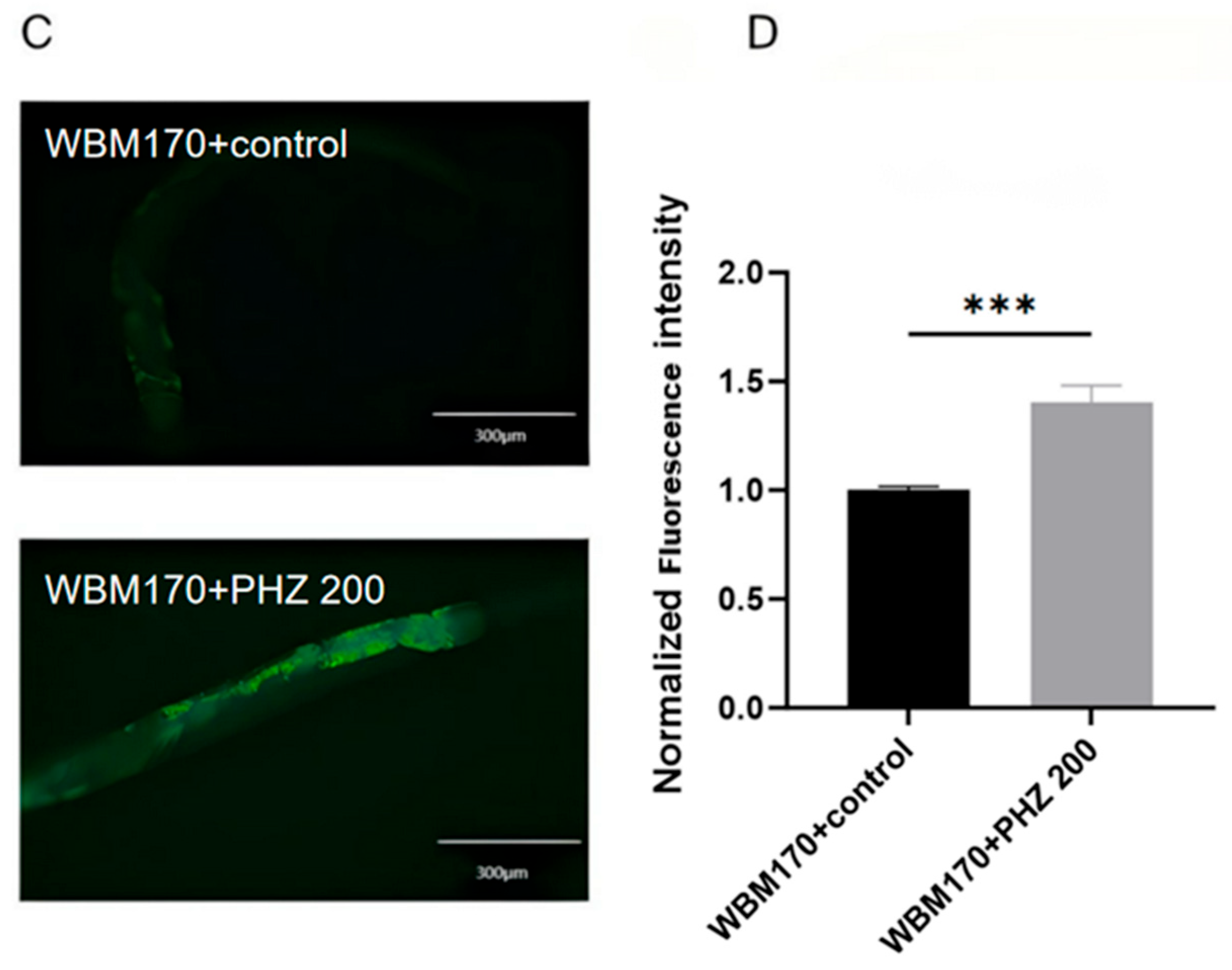 Ijms 26 09303 g008b Ijms 26 09303 g008b
