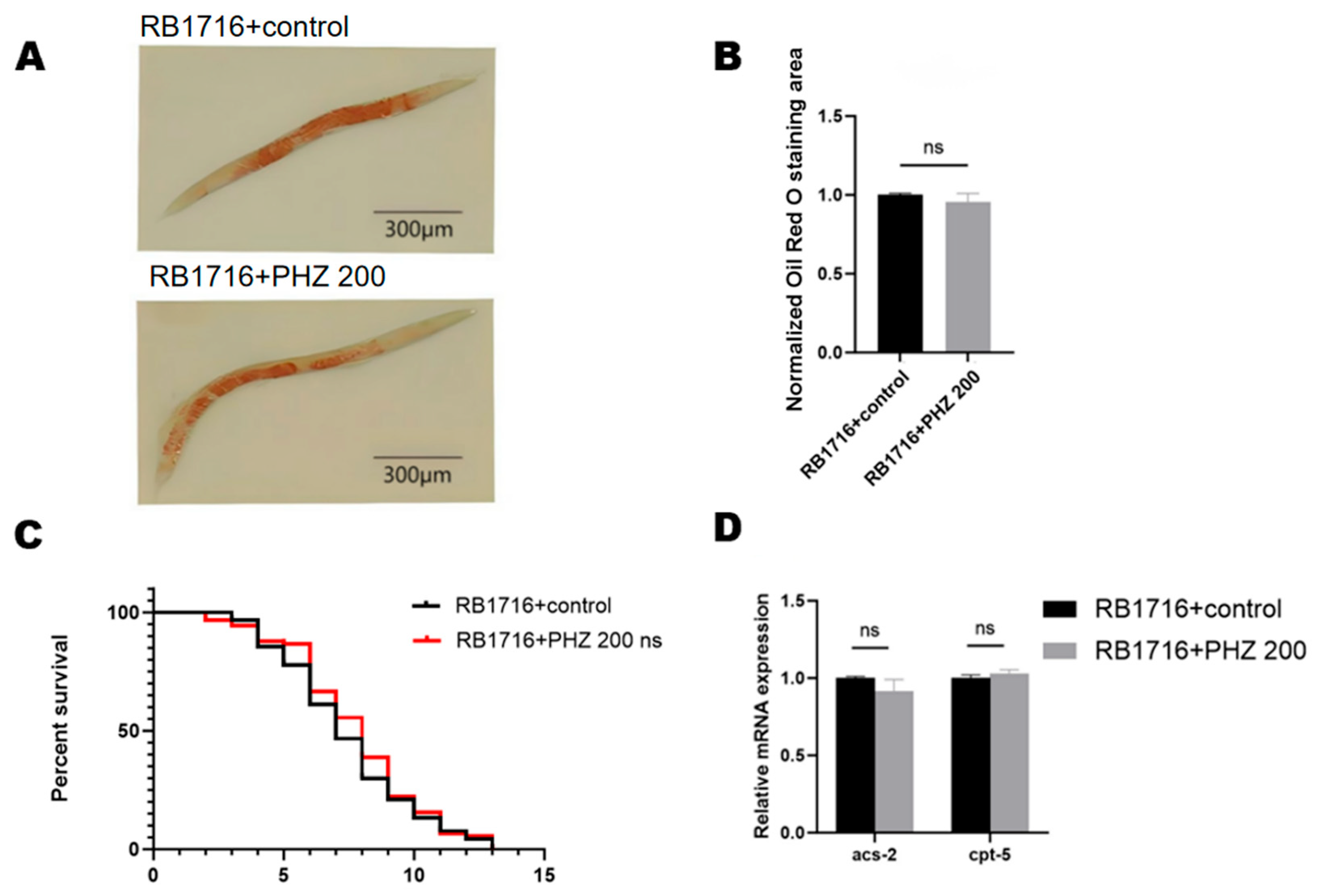 Ijms 26 09303 g009 Ijms 26 09303 g009