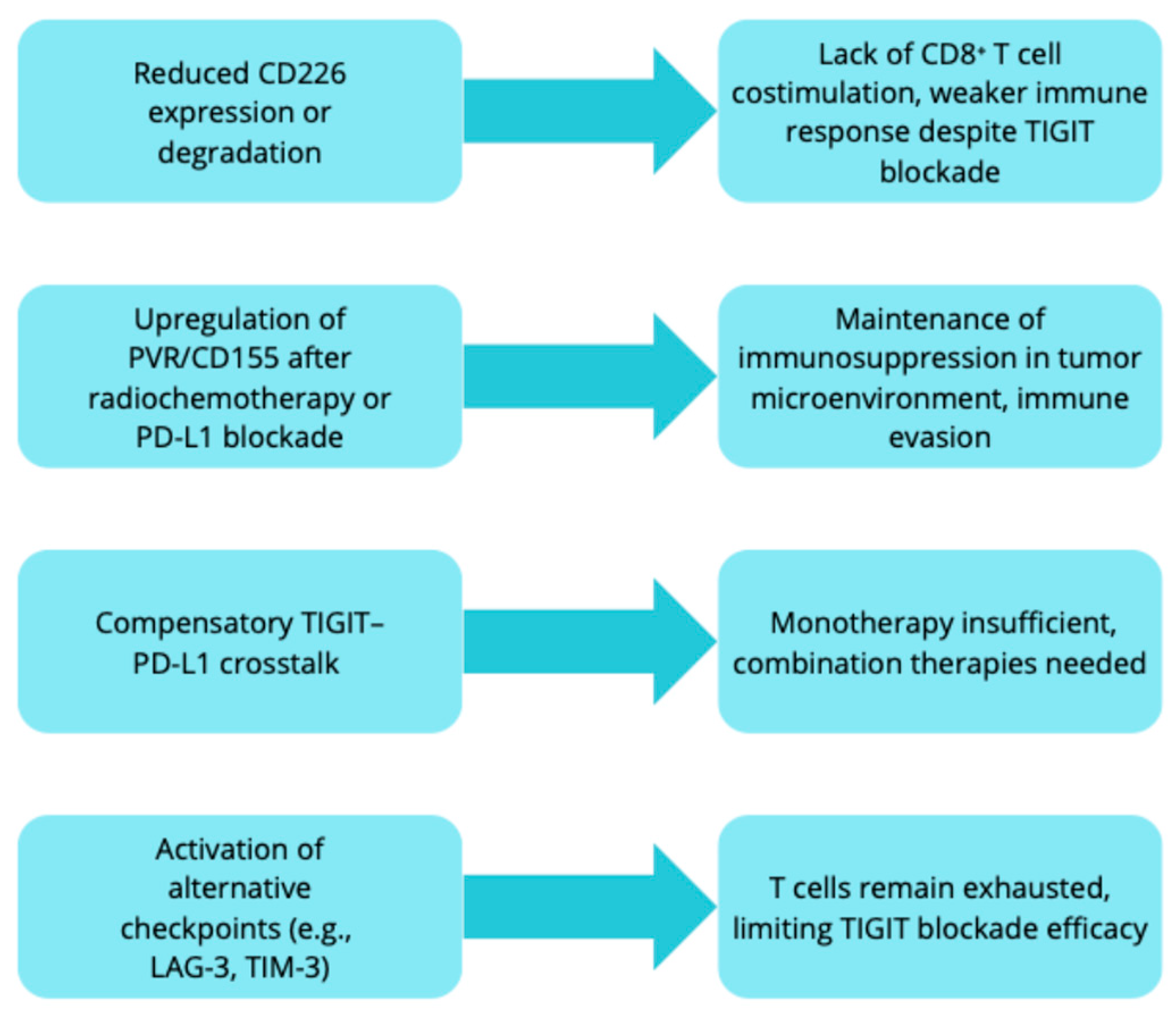 Ijms 26 09307 g003 Ijms 26 09307 g003