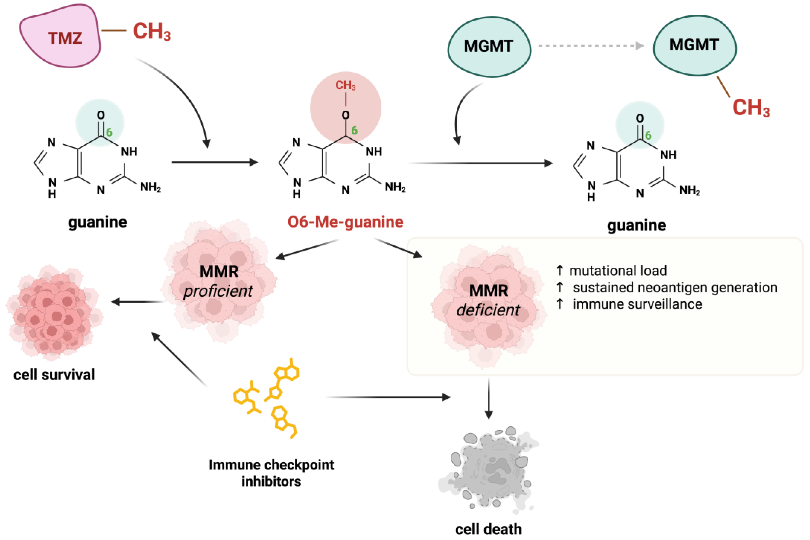 Ijms 26 09312 g002 Ijms 26 09312 g002