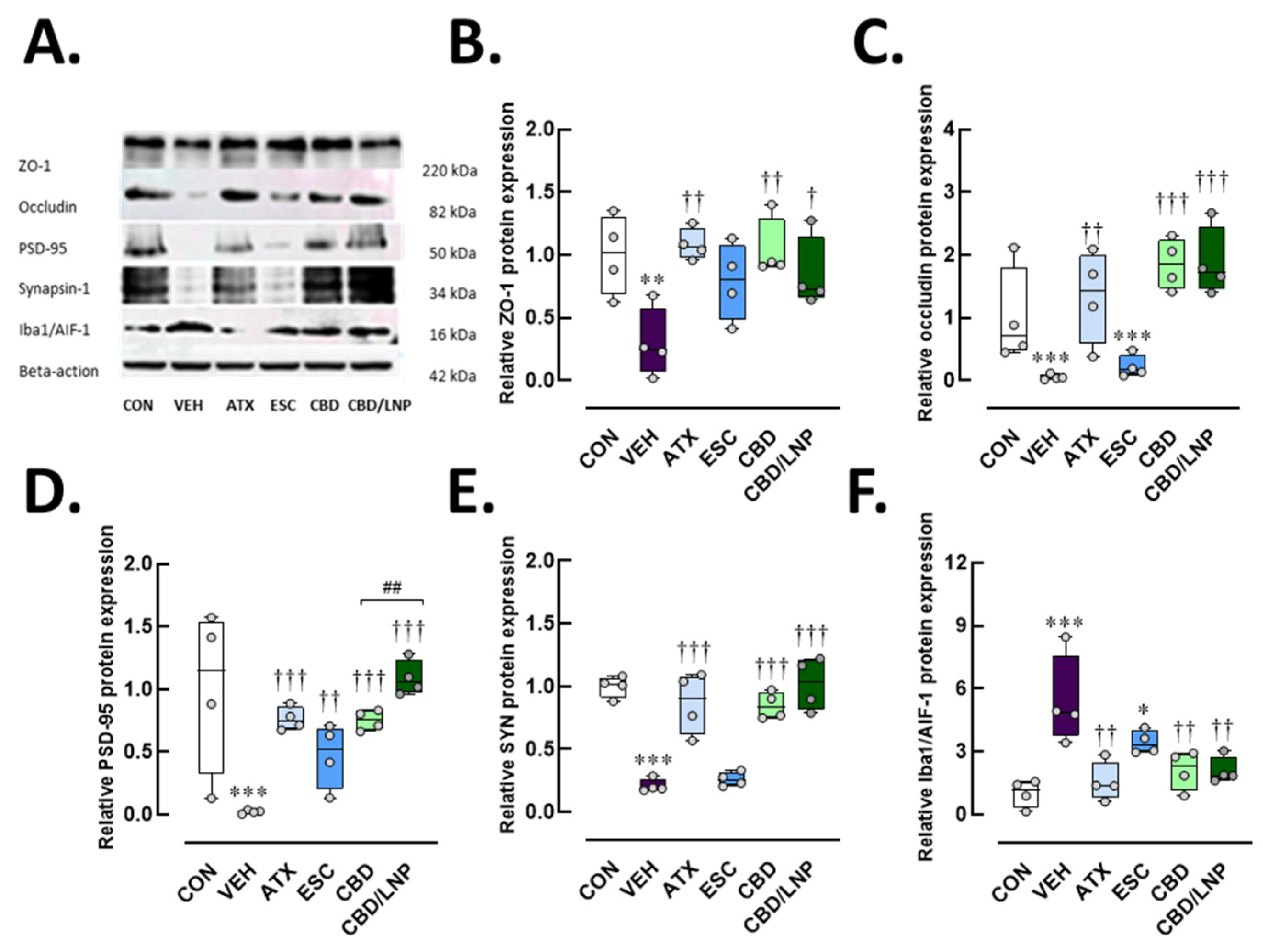 Ijms 26 09318 g003 Ijms 26 09318 g003