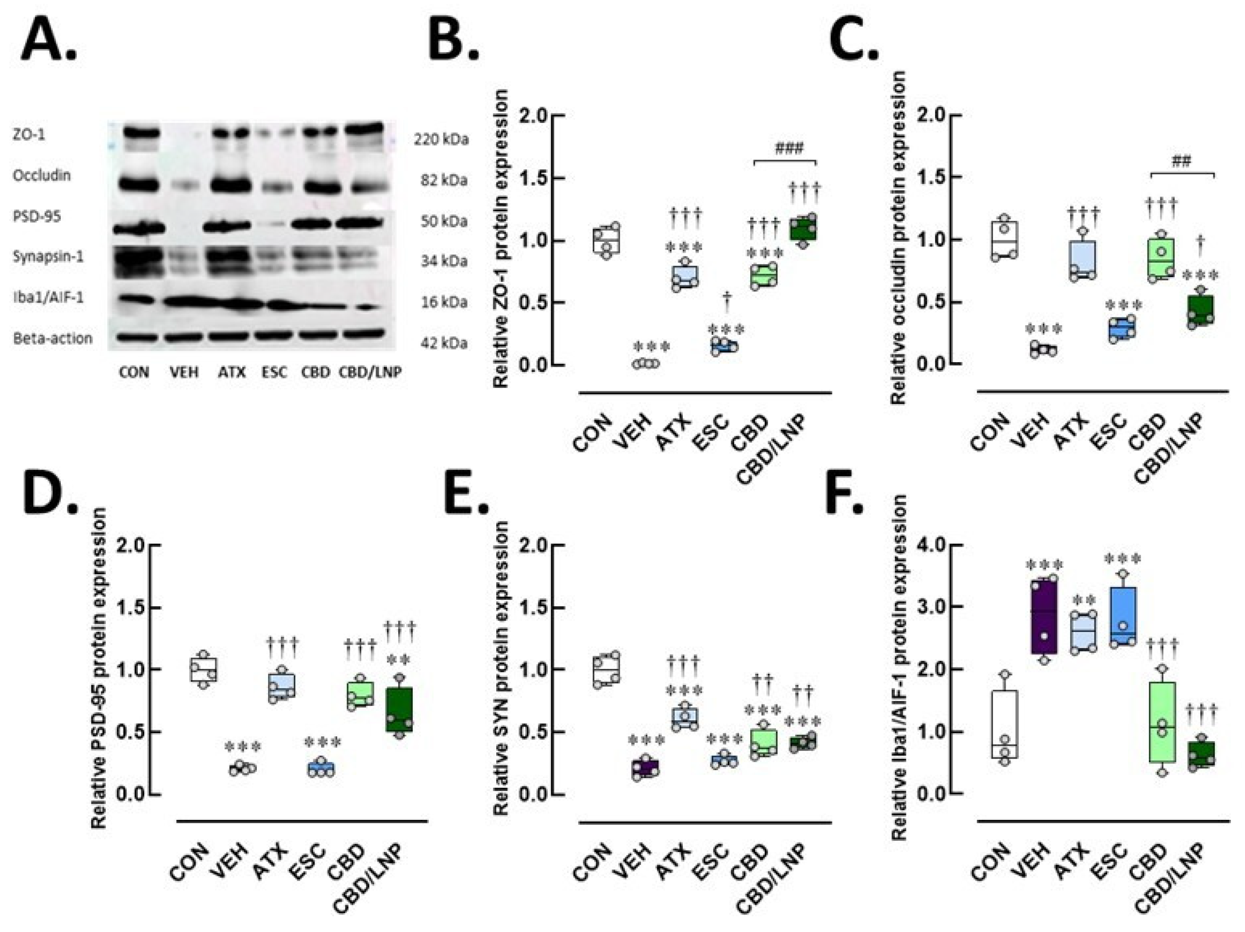 Ijms 26 09318 g004 Ijms 26 09318 g004