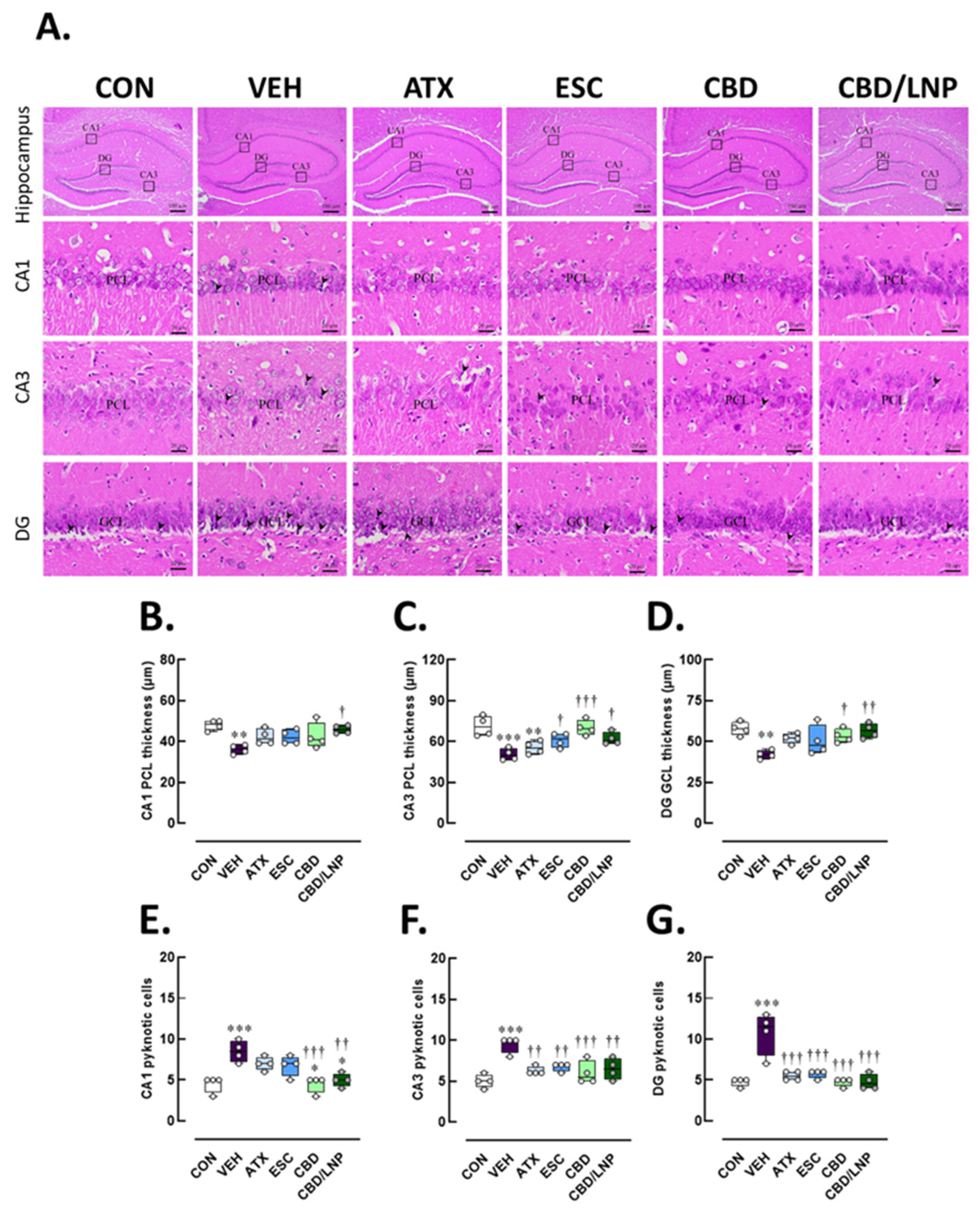 Ijms 26 09318 g005 Ijms 26 09318 g005