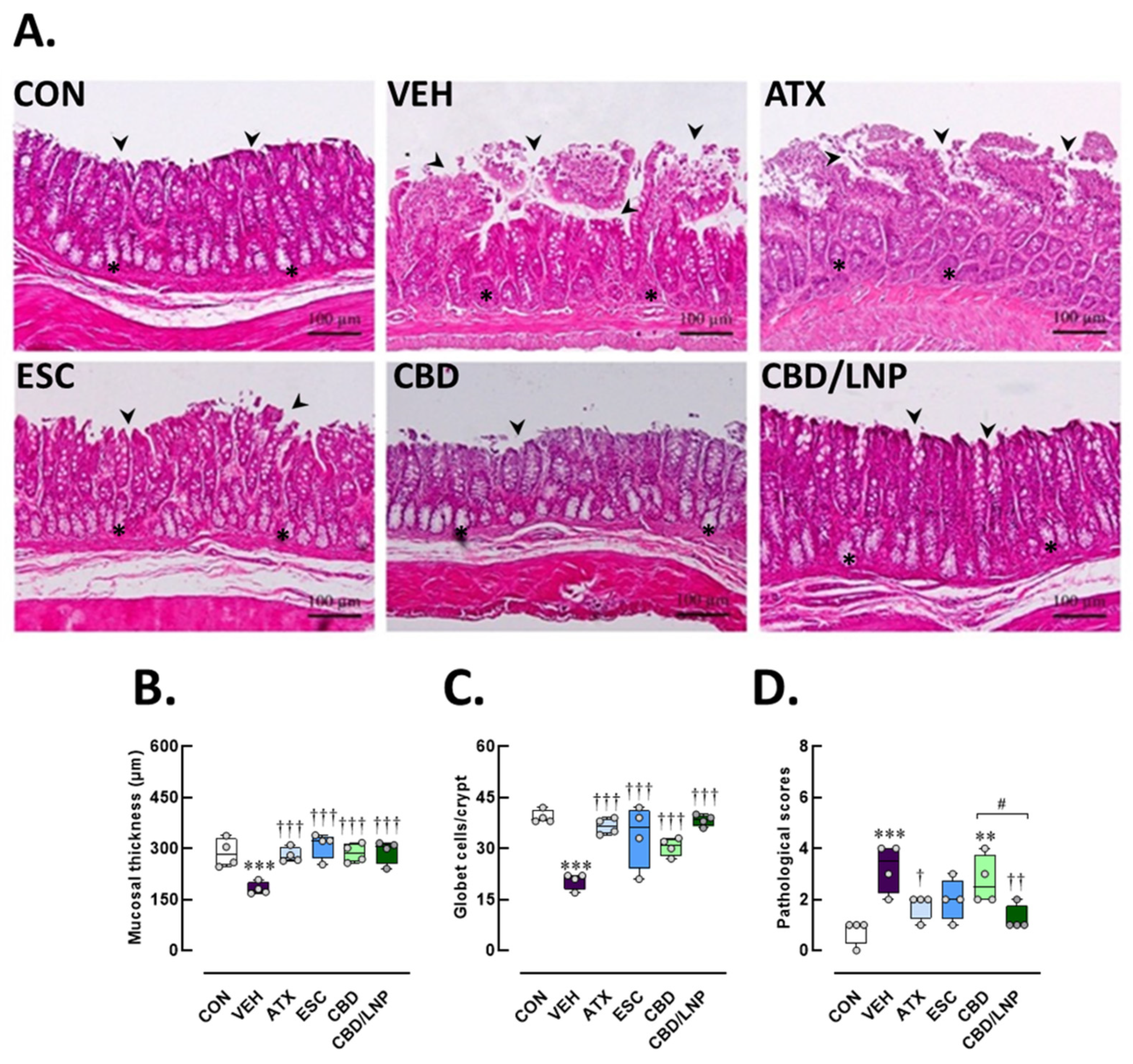 Ijms 26 09318 g006 Ijms 26 09318 g006