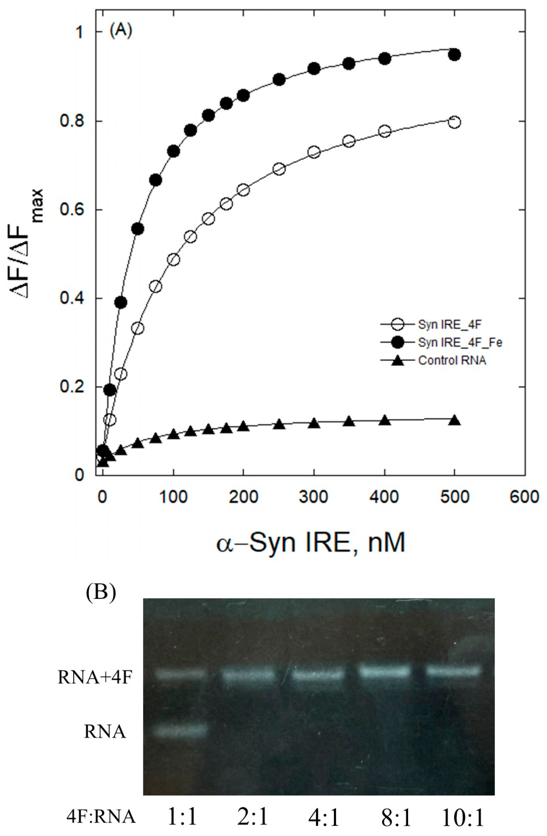 Ijms 26 09320 g001 Ijms 26 09320 g001