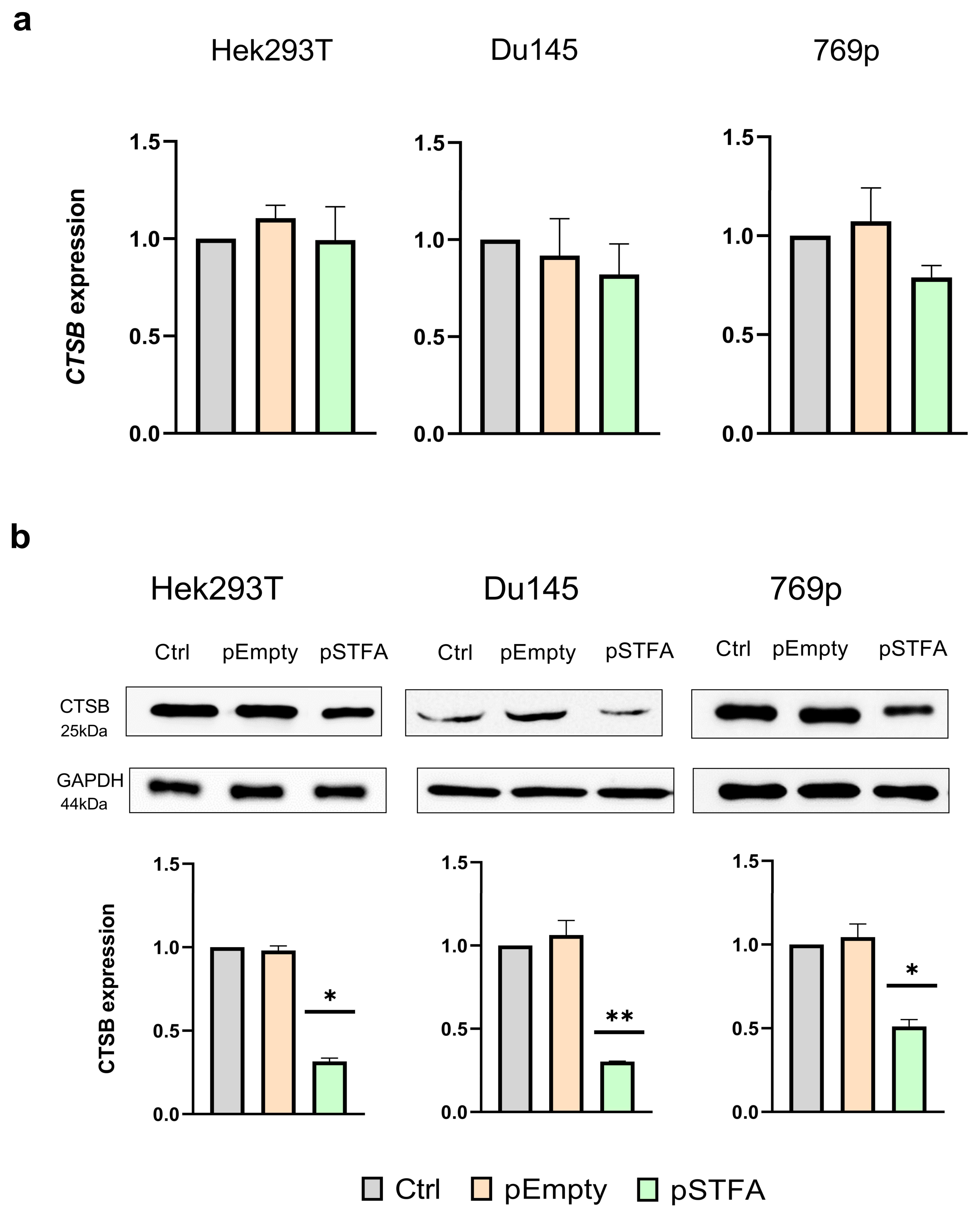 Ijms 26 09321 g001 Ijms 26 09321 g001