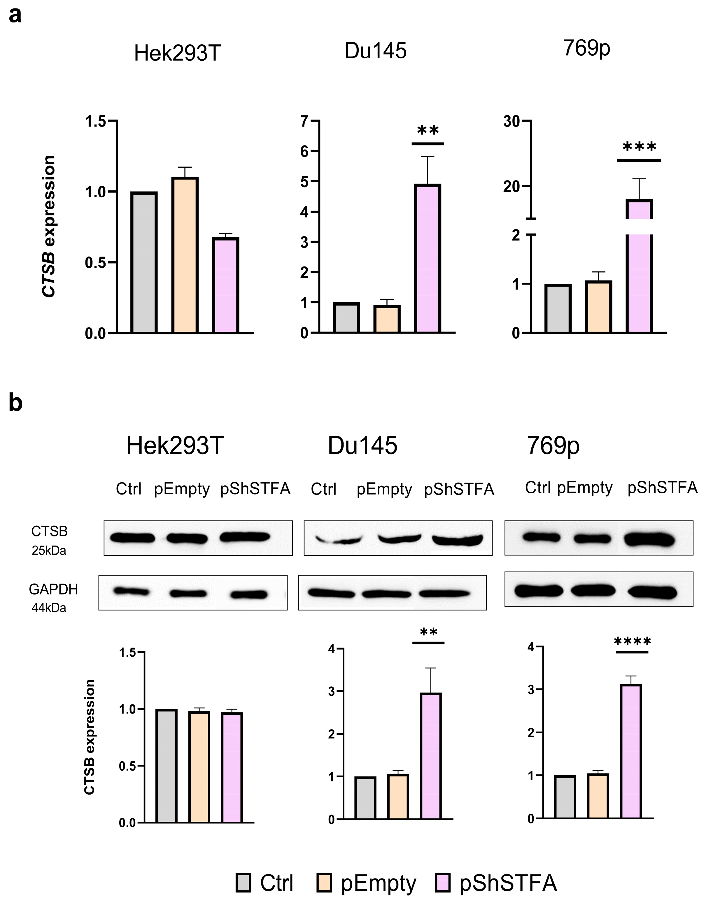 Ijms 26 09321 g002 Ijms 26 09321 g002