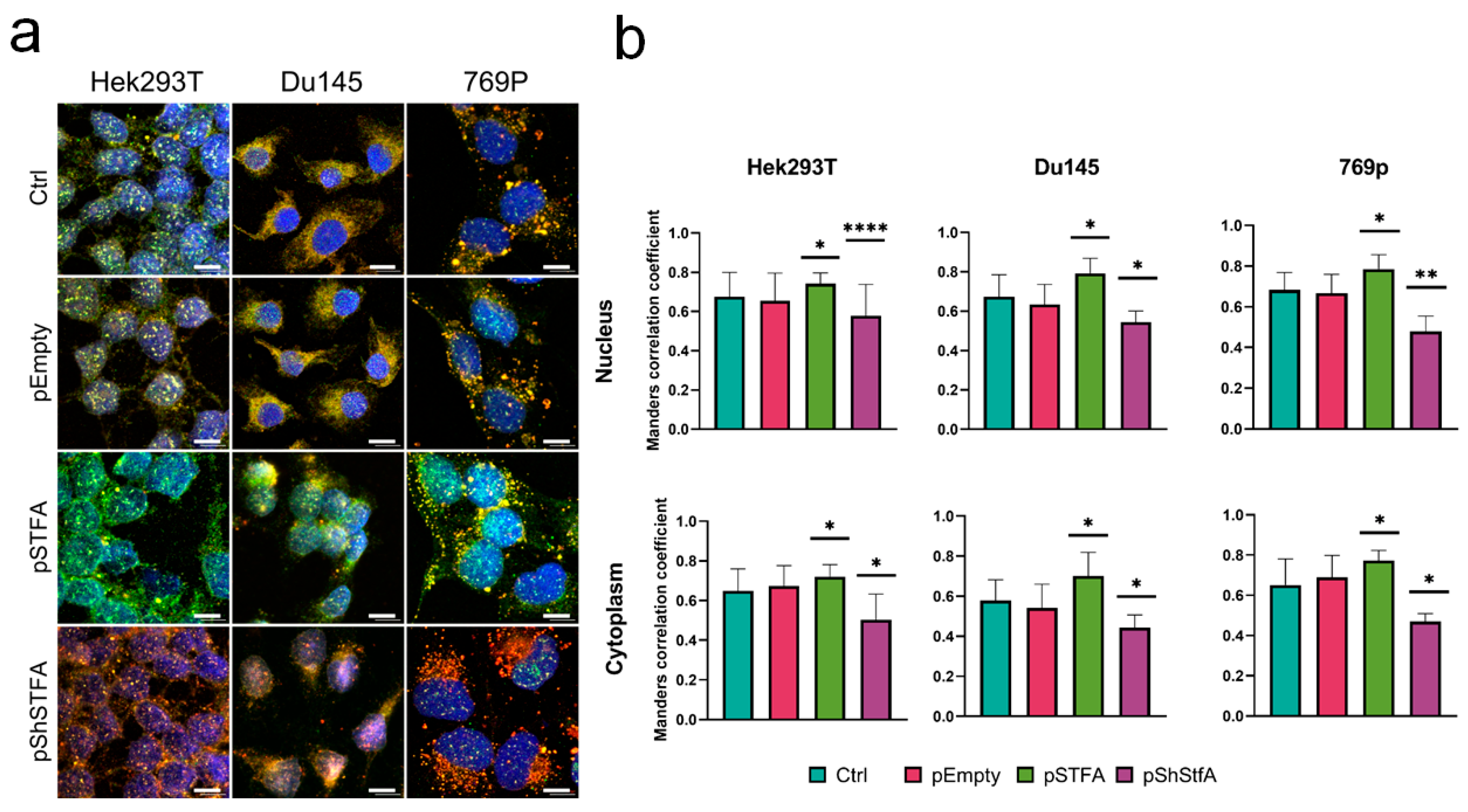 Ijms 26 09321 g005 Ijms 26 09321 g005
