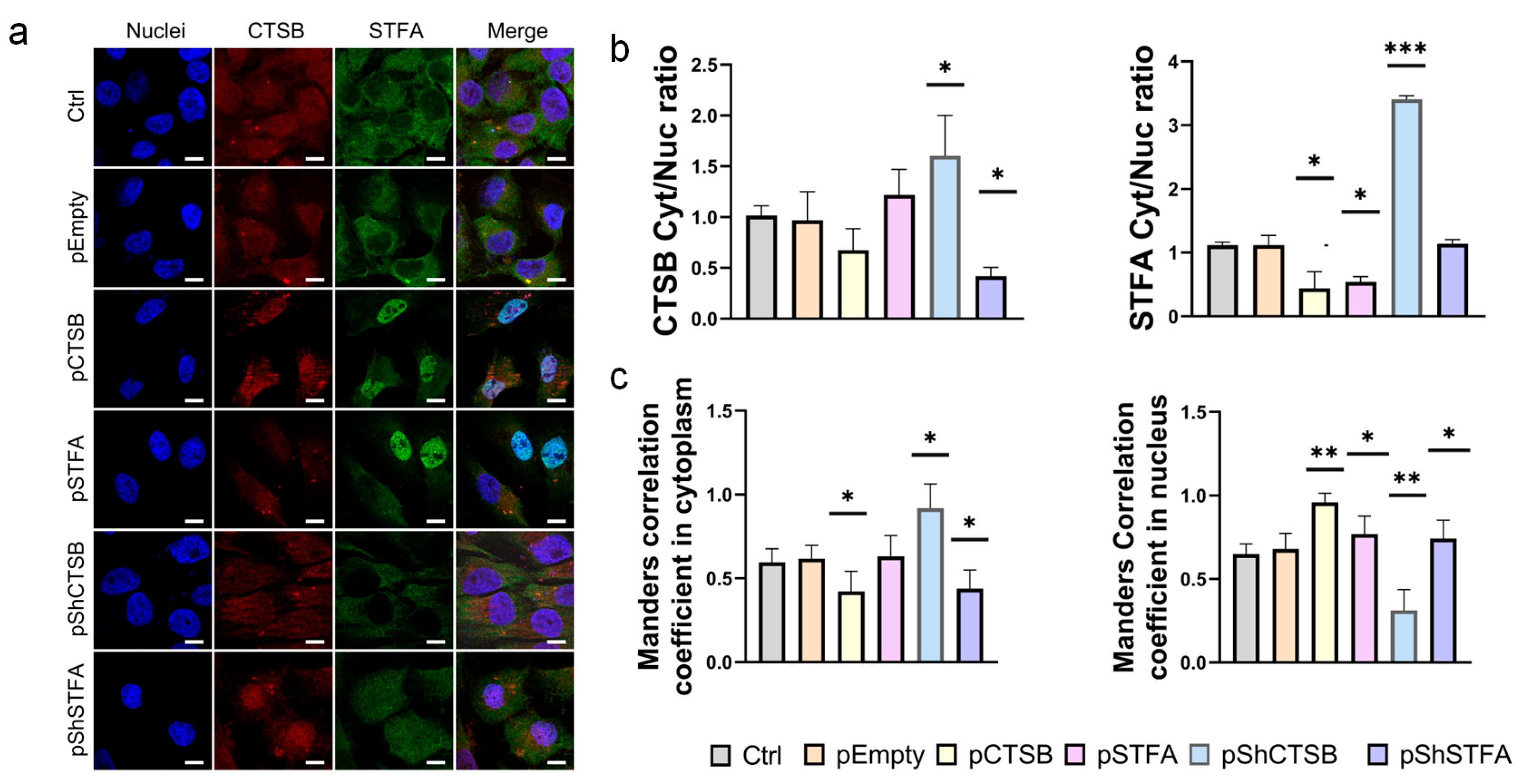 Ijms 26 09321 g006 Ijms 26 09321 g006