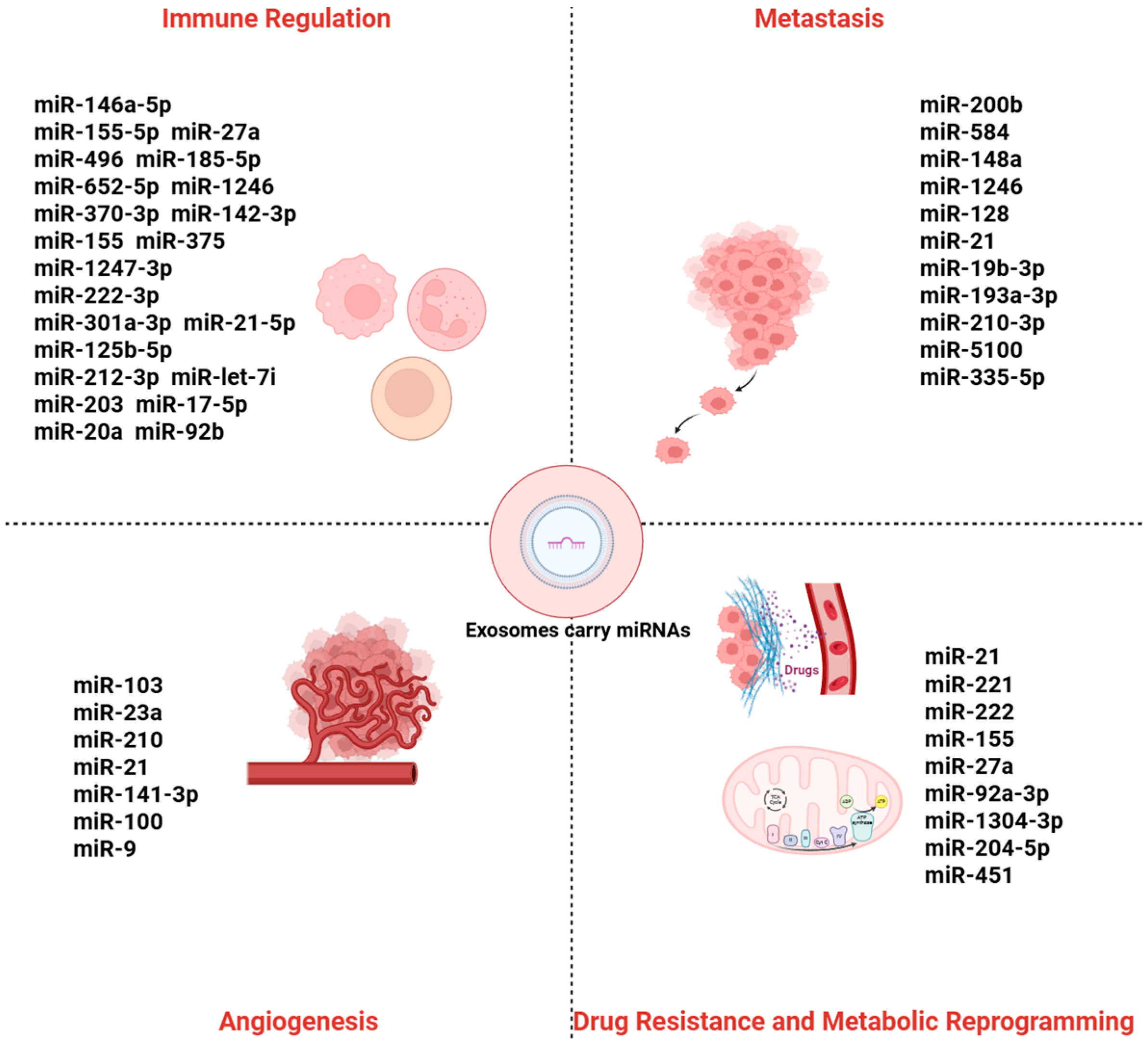 Ijms 26 09323 g001 Ijms 26 09323 g001